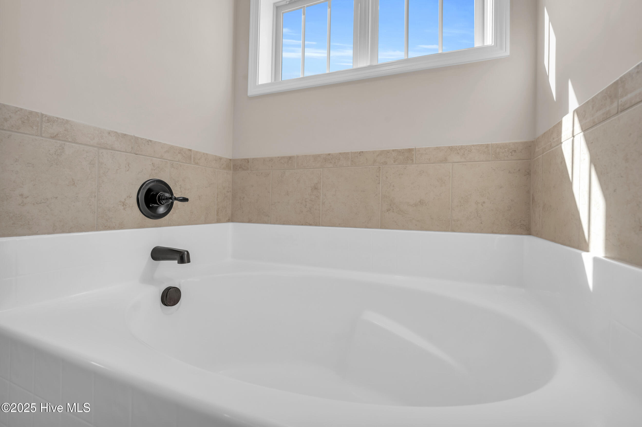 100538065 | Photo 36