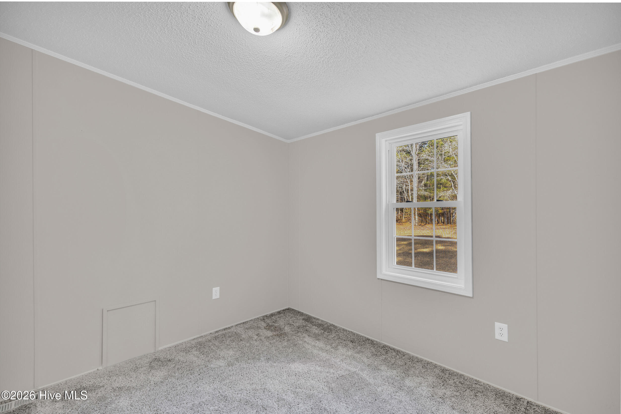 100550354 | Photo 25