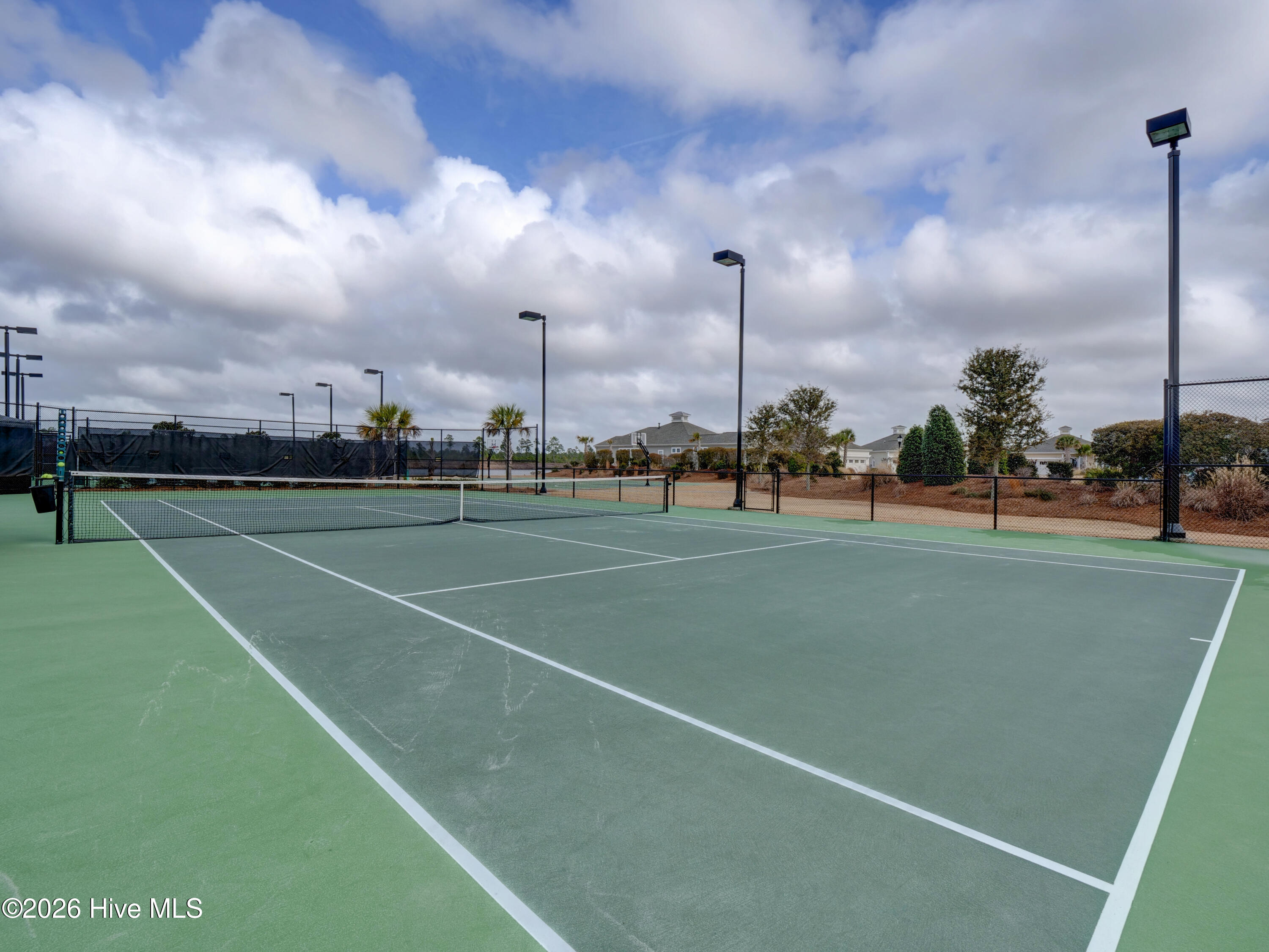 100554141 | Photo 38