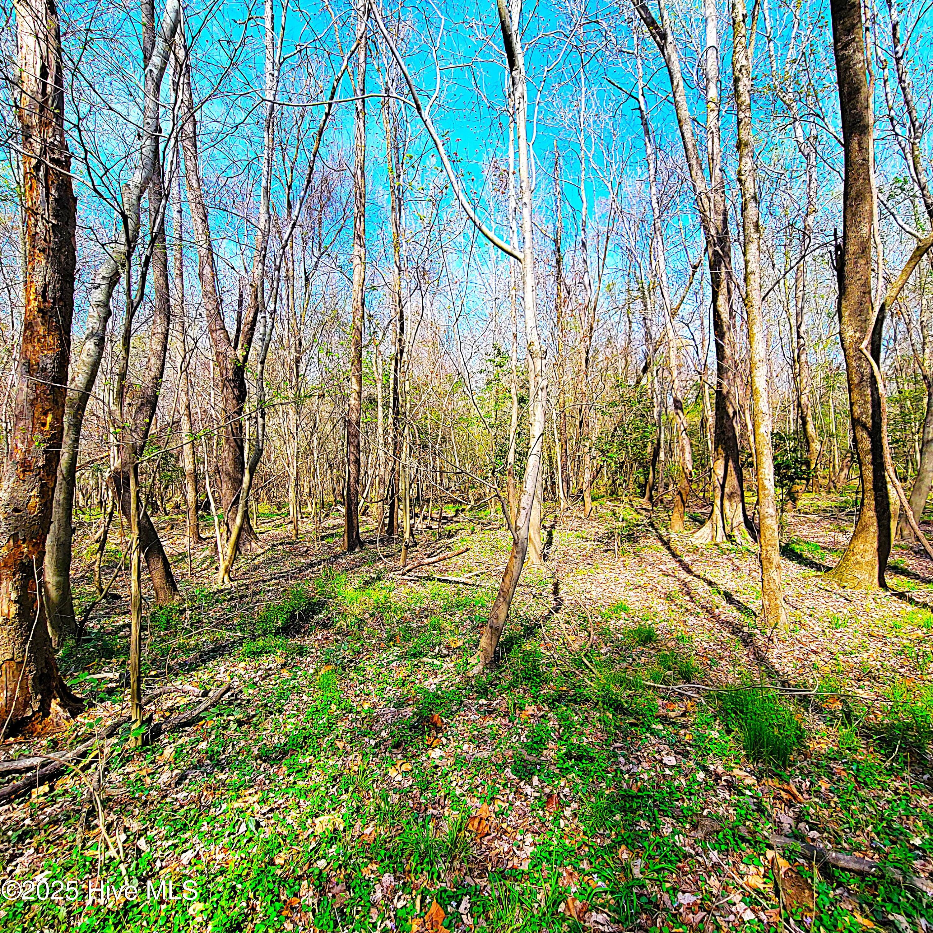 100496184 | Photo 17