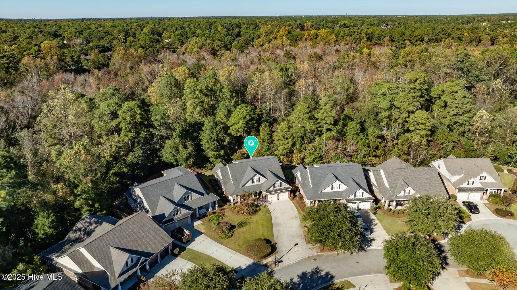 100540144 | Photo 56