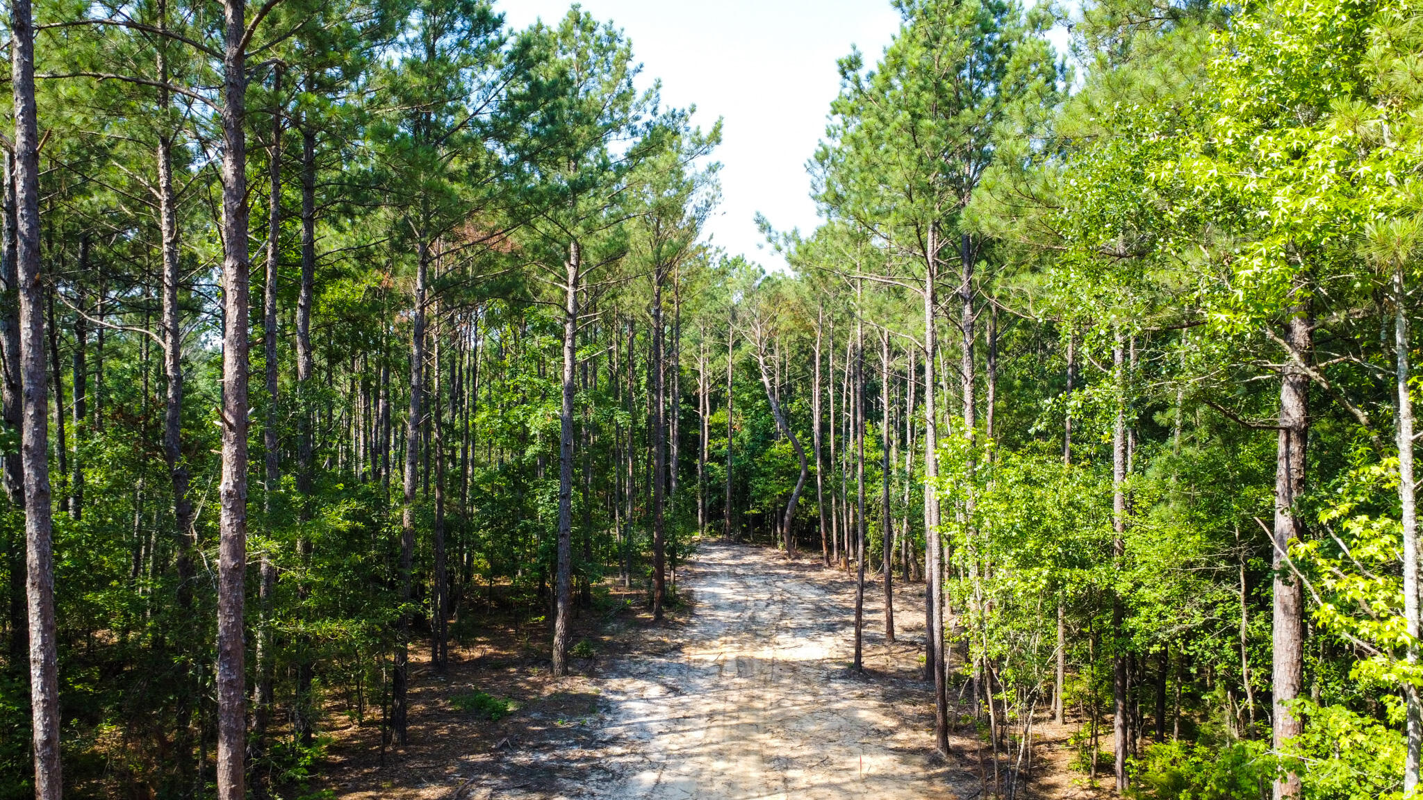 0 Backway Road, Lincolnton, GA, 30817