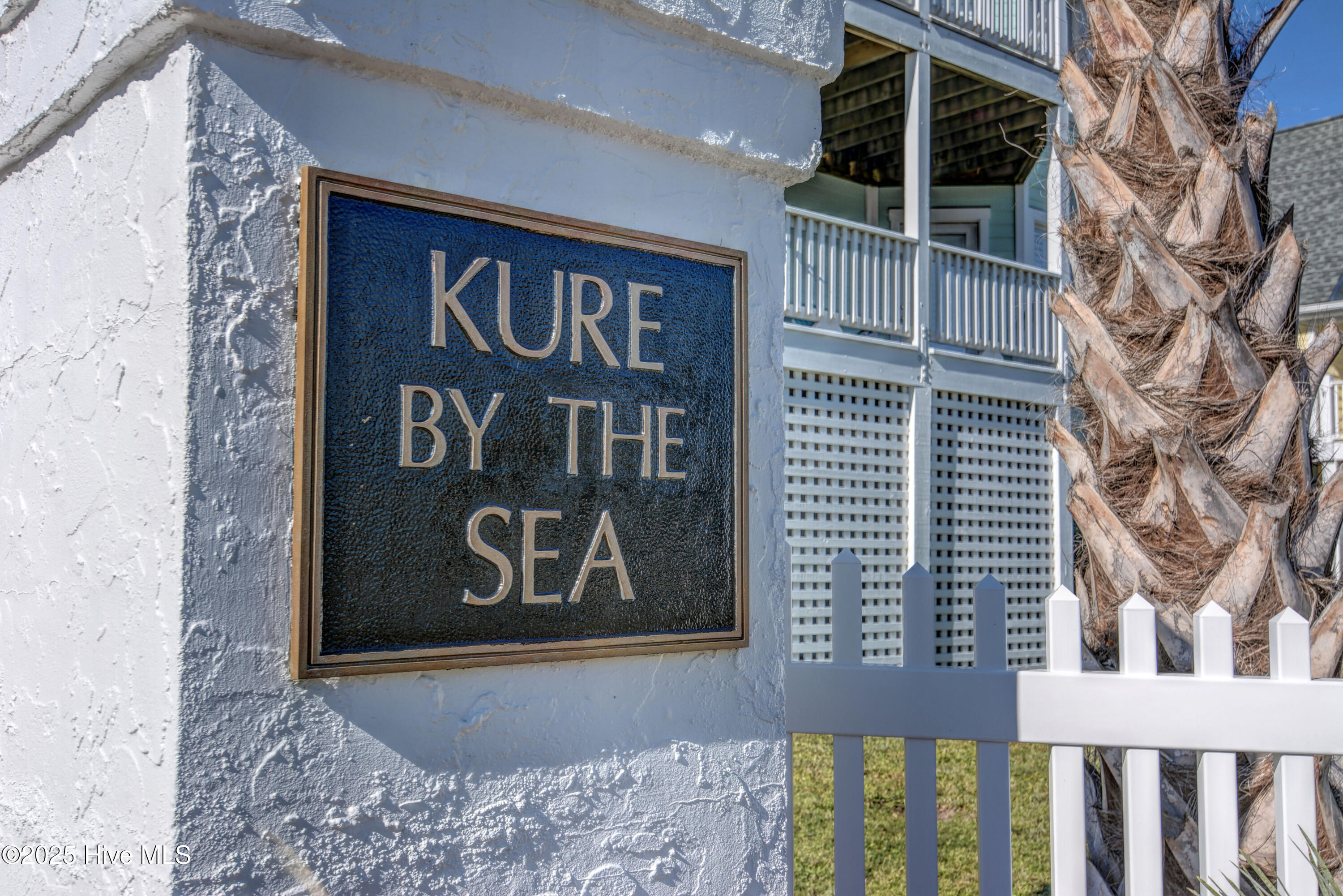 100553290 | Photo 38