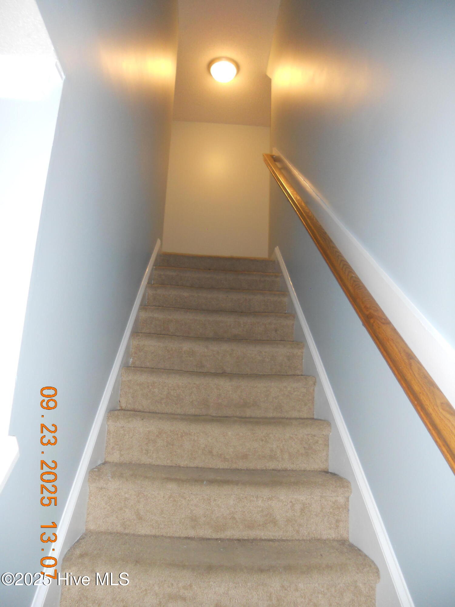 100532351 | Photo 22