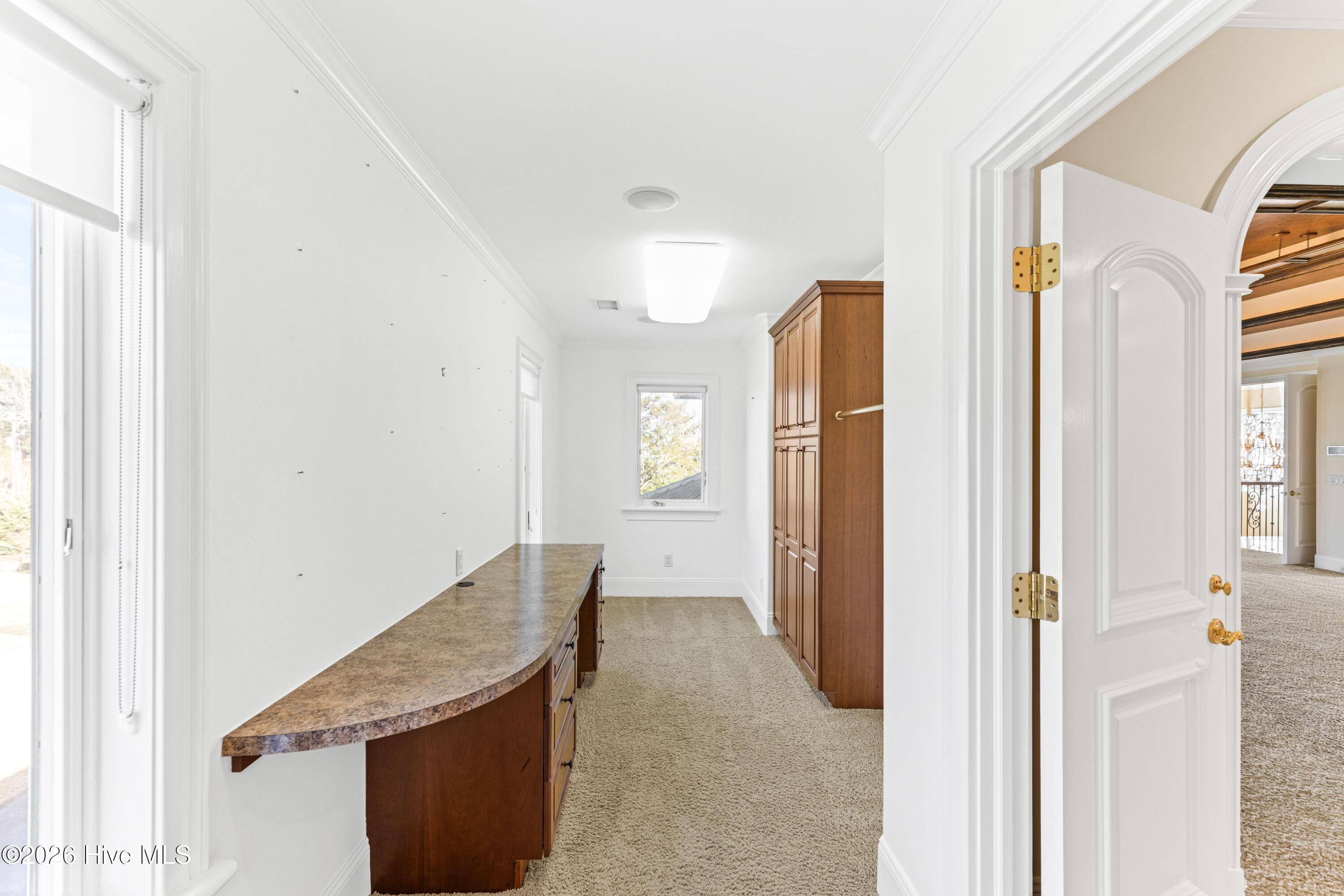 100557099 | Photo 30