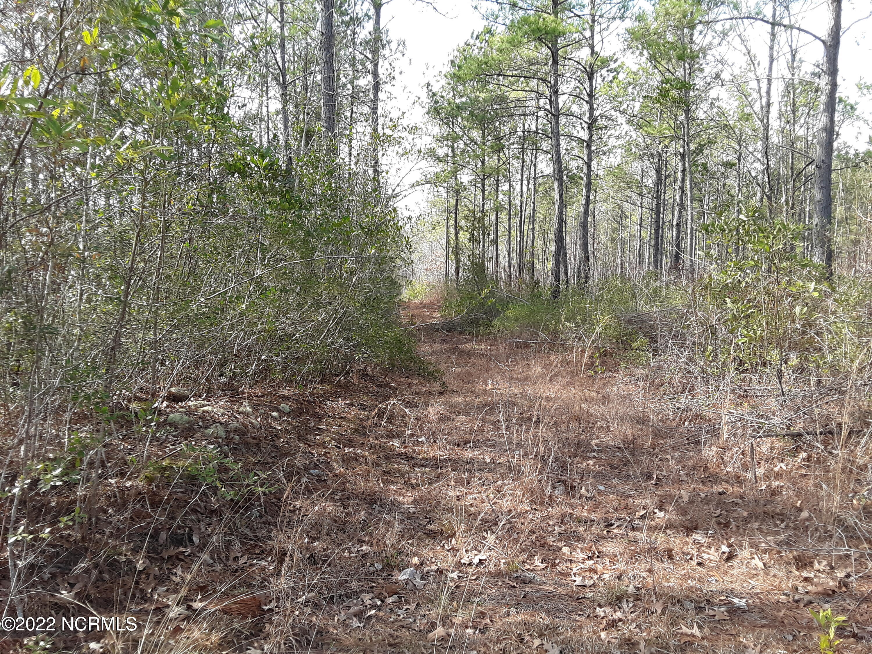 D08-67 John Pollock Road,Grantsboro