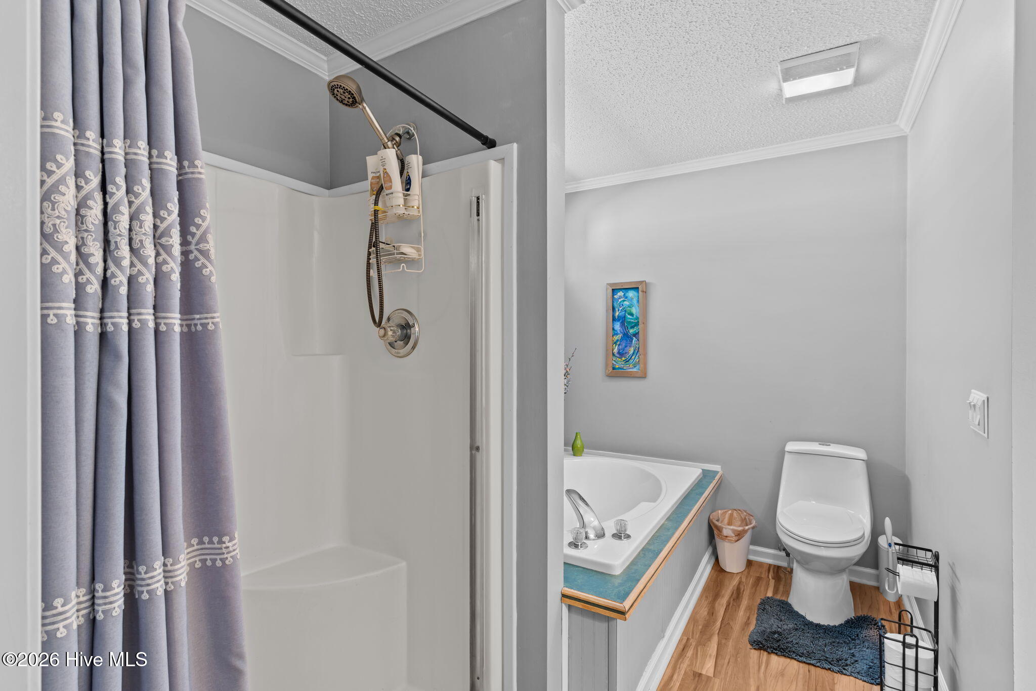 100559480 | Photo 25