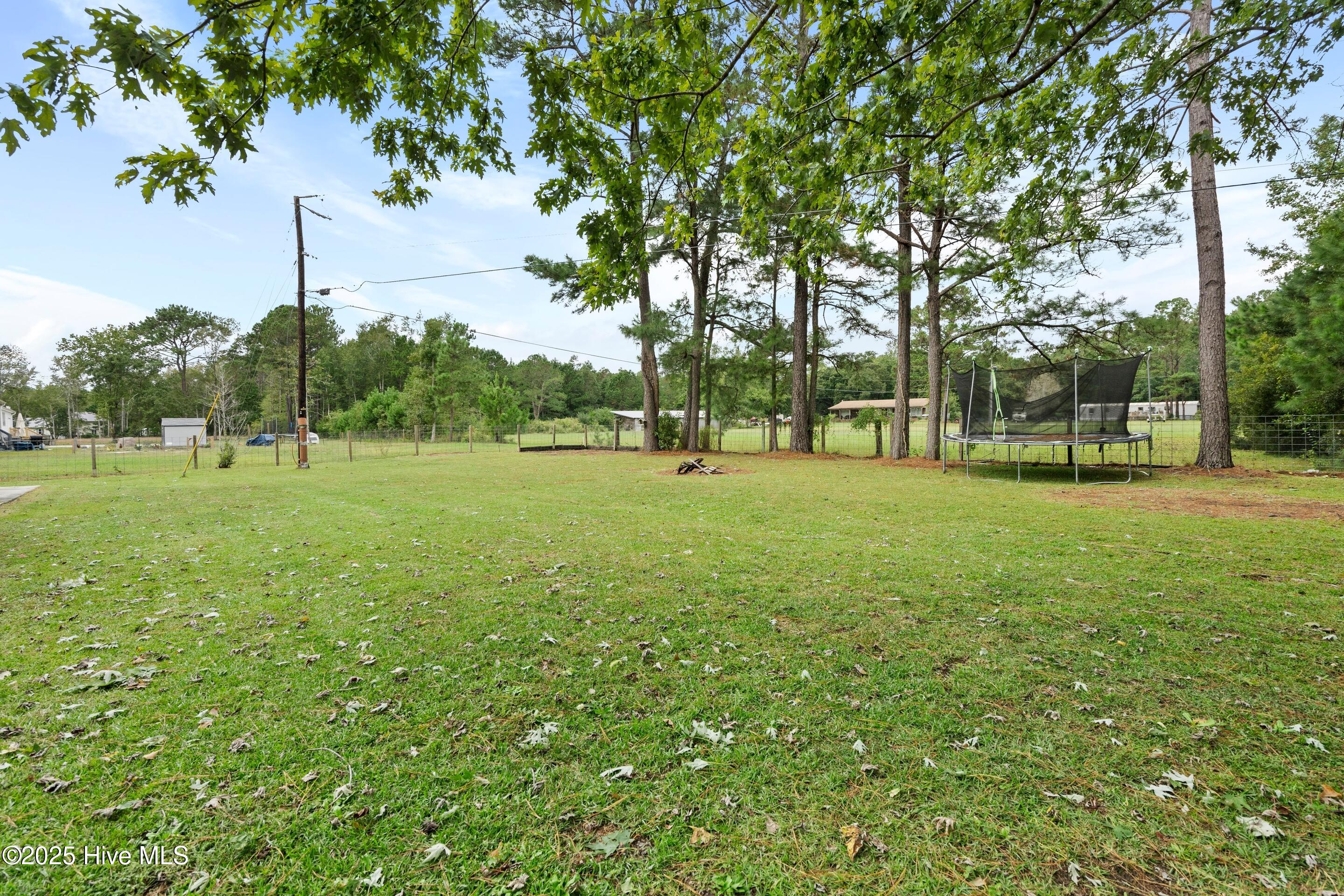 100535134 | Photo 51