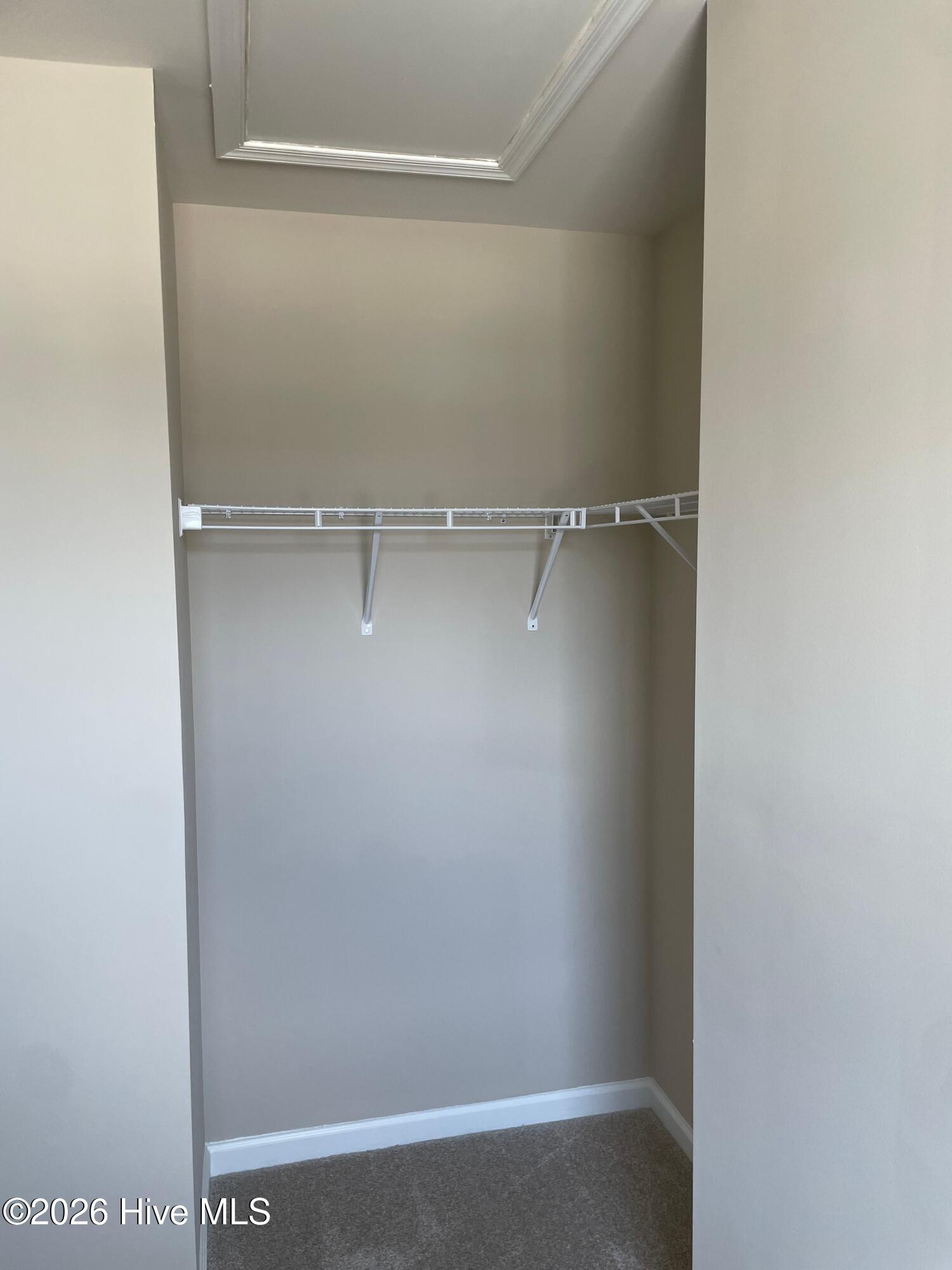 100559123 | Photo 14