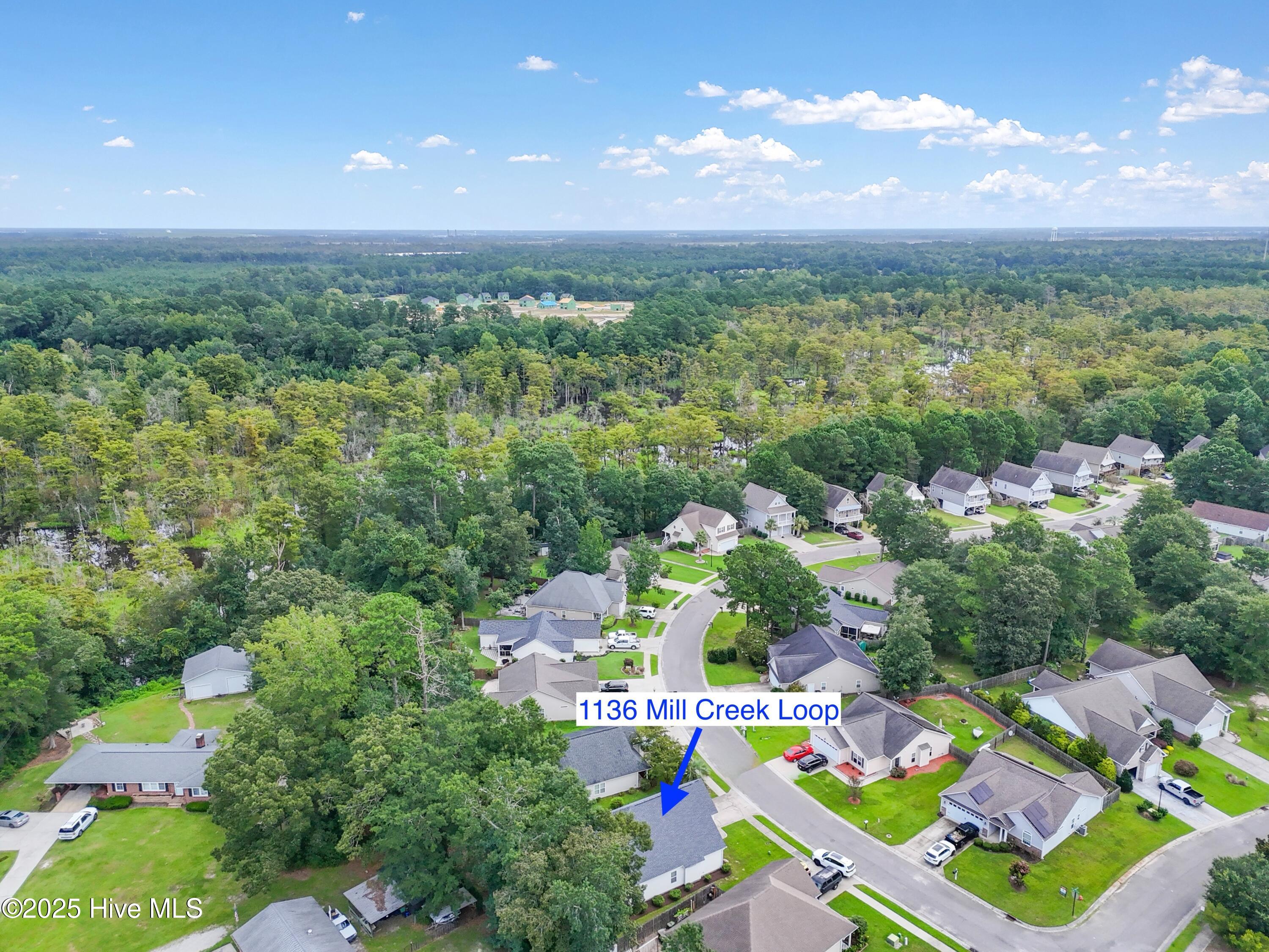 100527568 | Photo 41