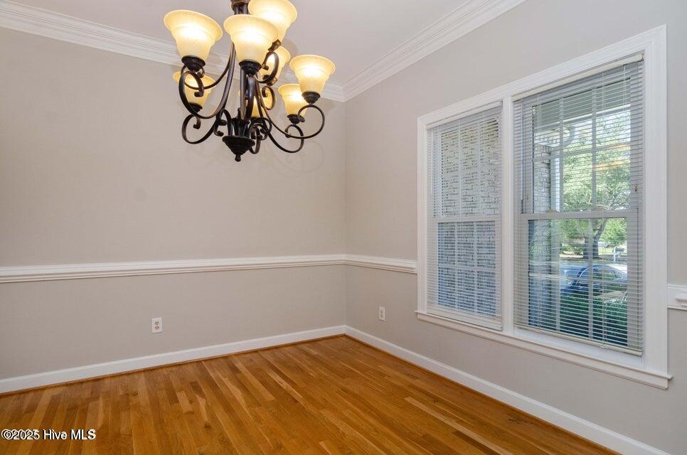 100546569 | Photo 15