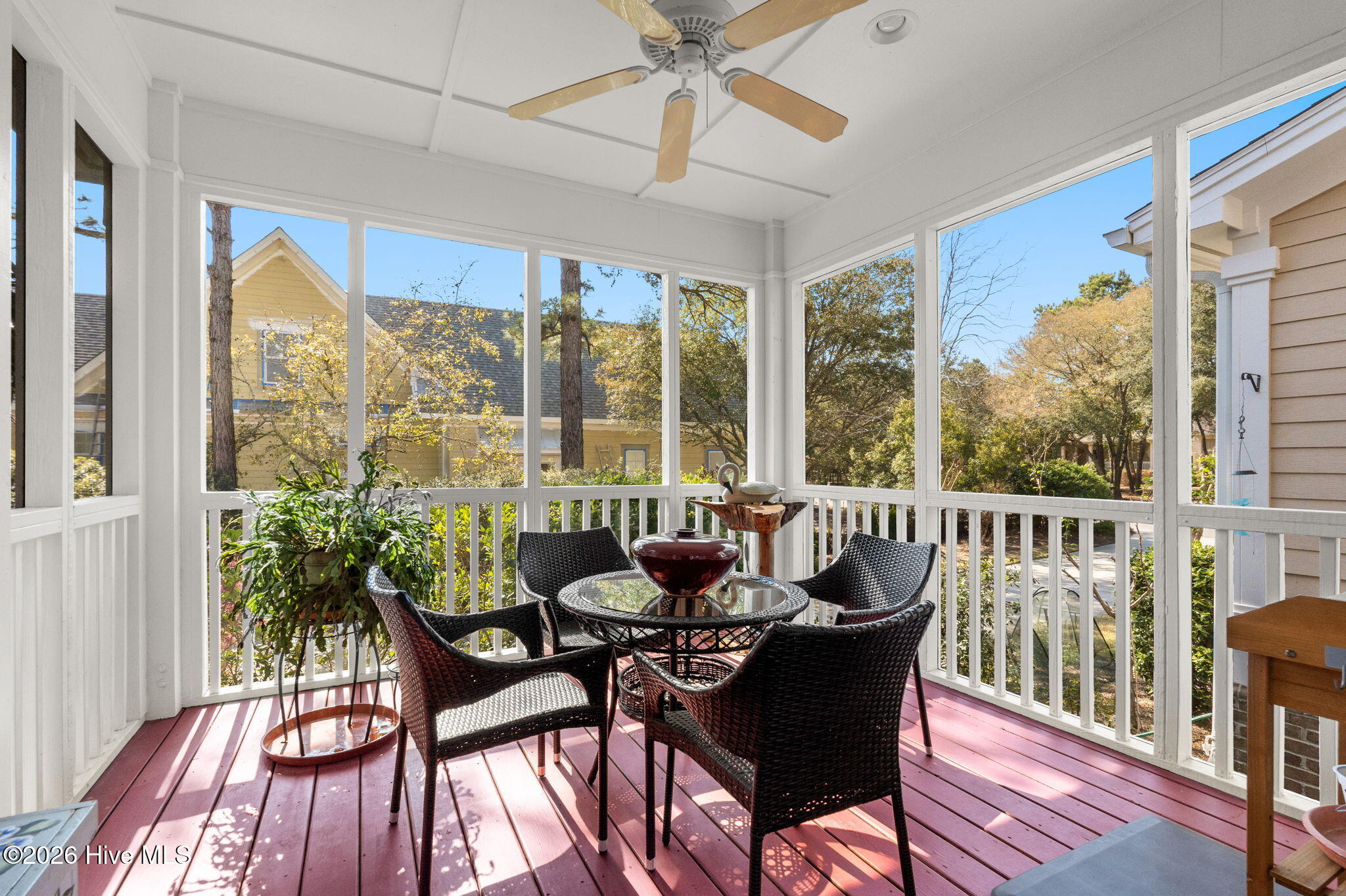 100563336 | Photo 19