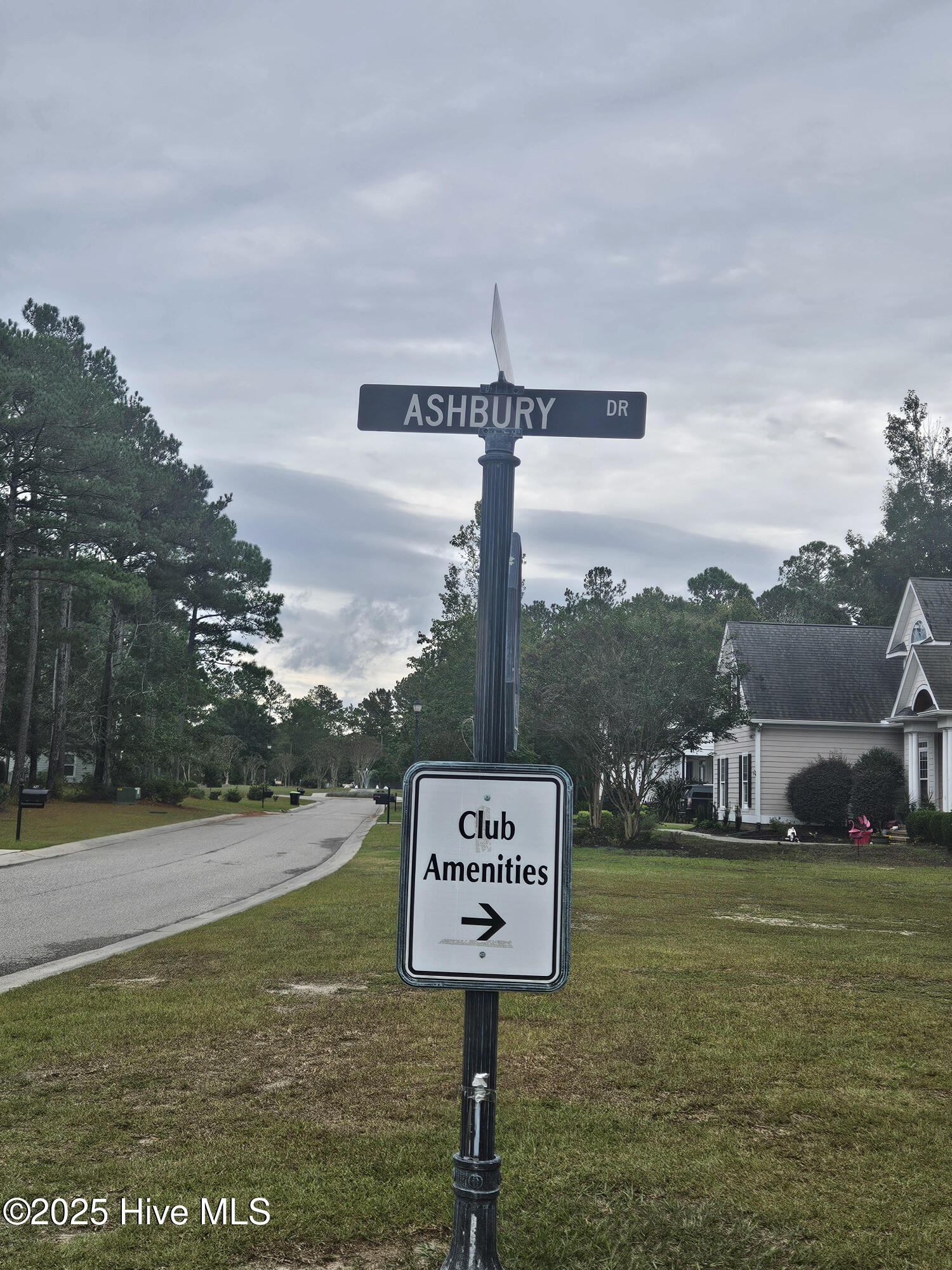 100564627 | Photo 63