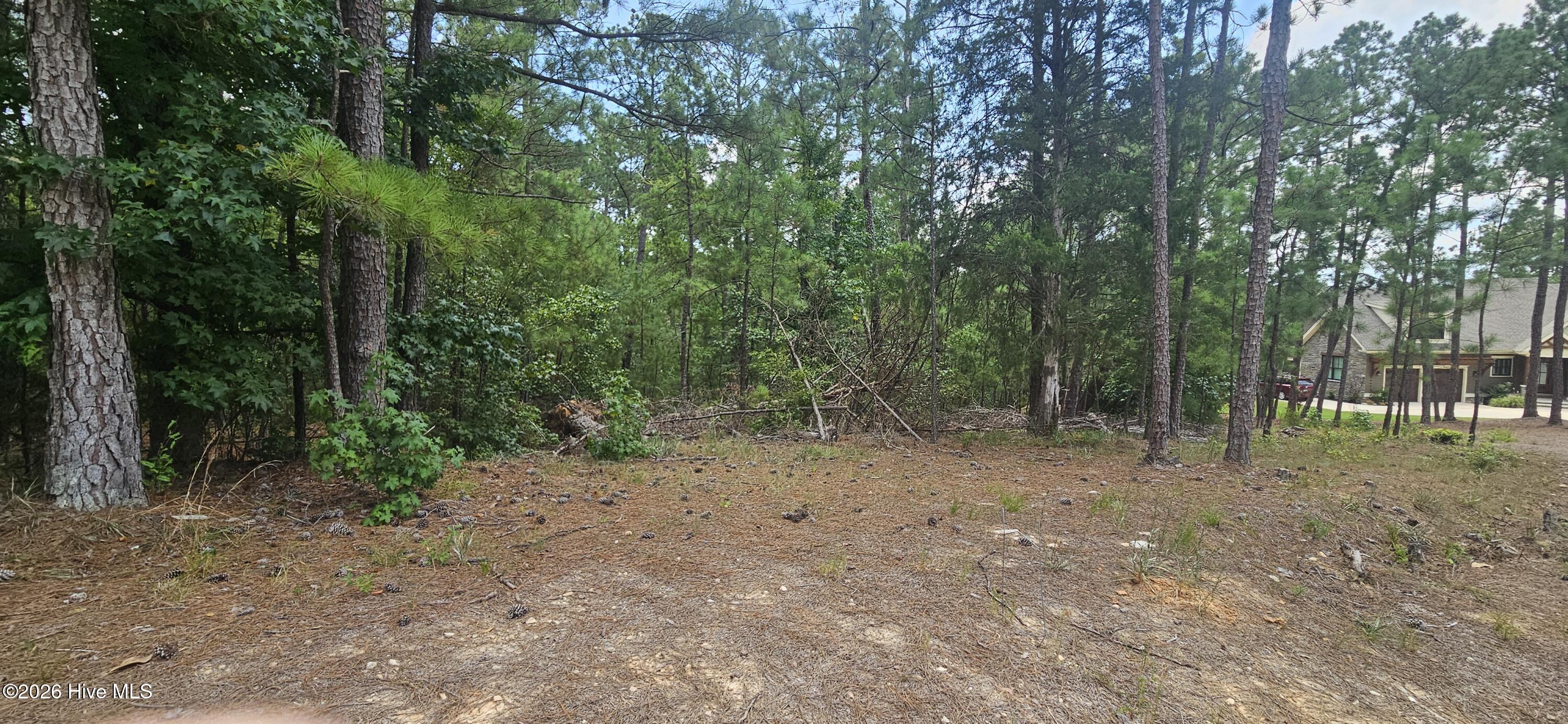 Lot 2 Amelia, McCormick, South Carolina, 0 ,Residential Lot,For sale,Amelia,100596257