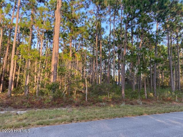 Homes for sale in Boiling Spring Lakes, NC | 23 Lexington Rd, Boiling Spring Lakes, NC 28461 | MLS# 100531207