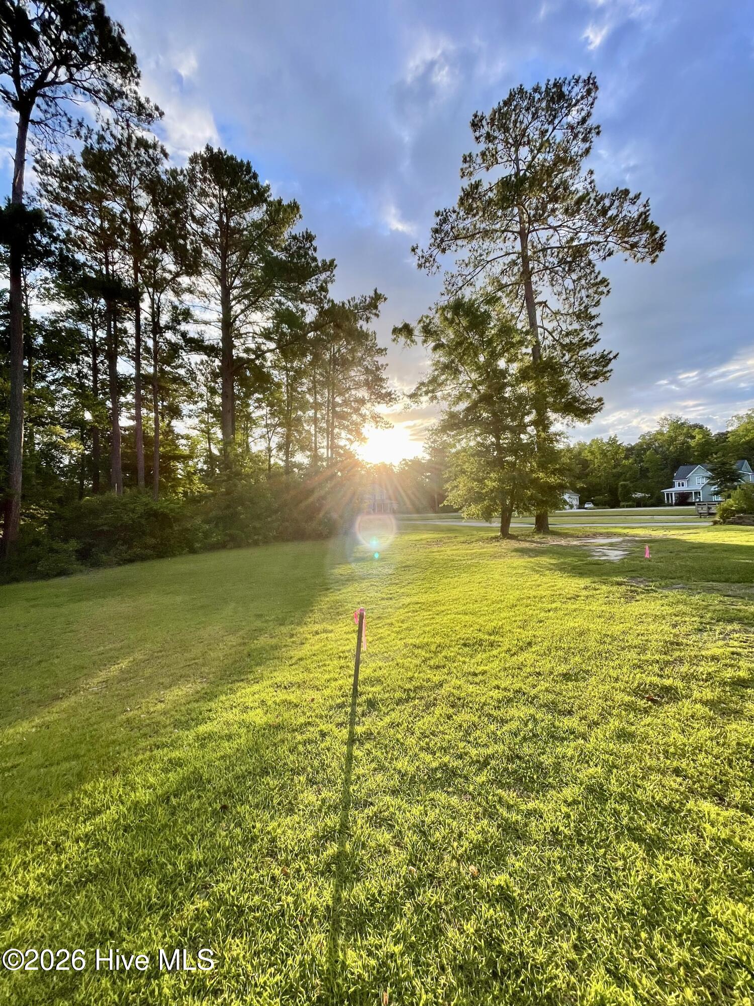 Shirley Johnson - MLS Number: 100552333
