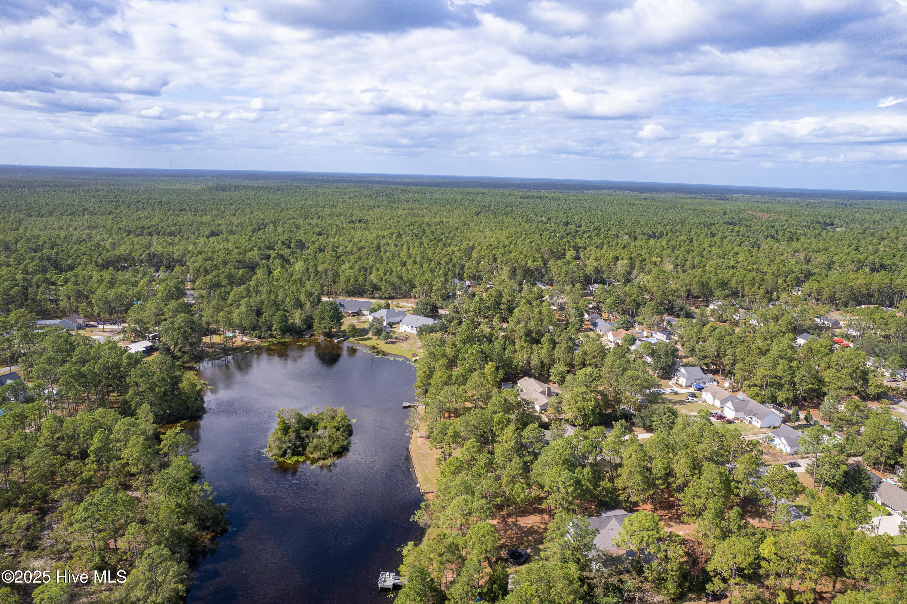 100538127 | Photo 59