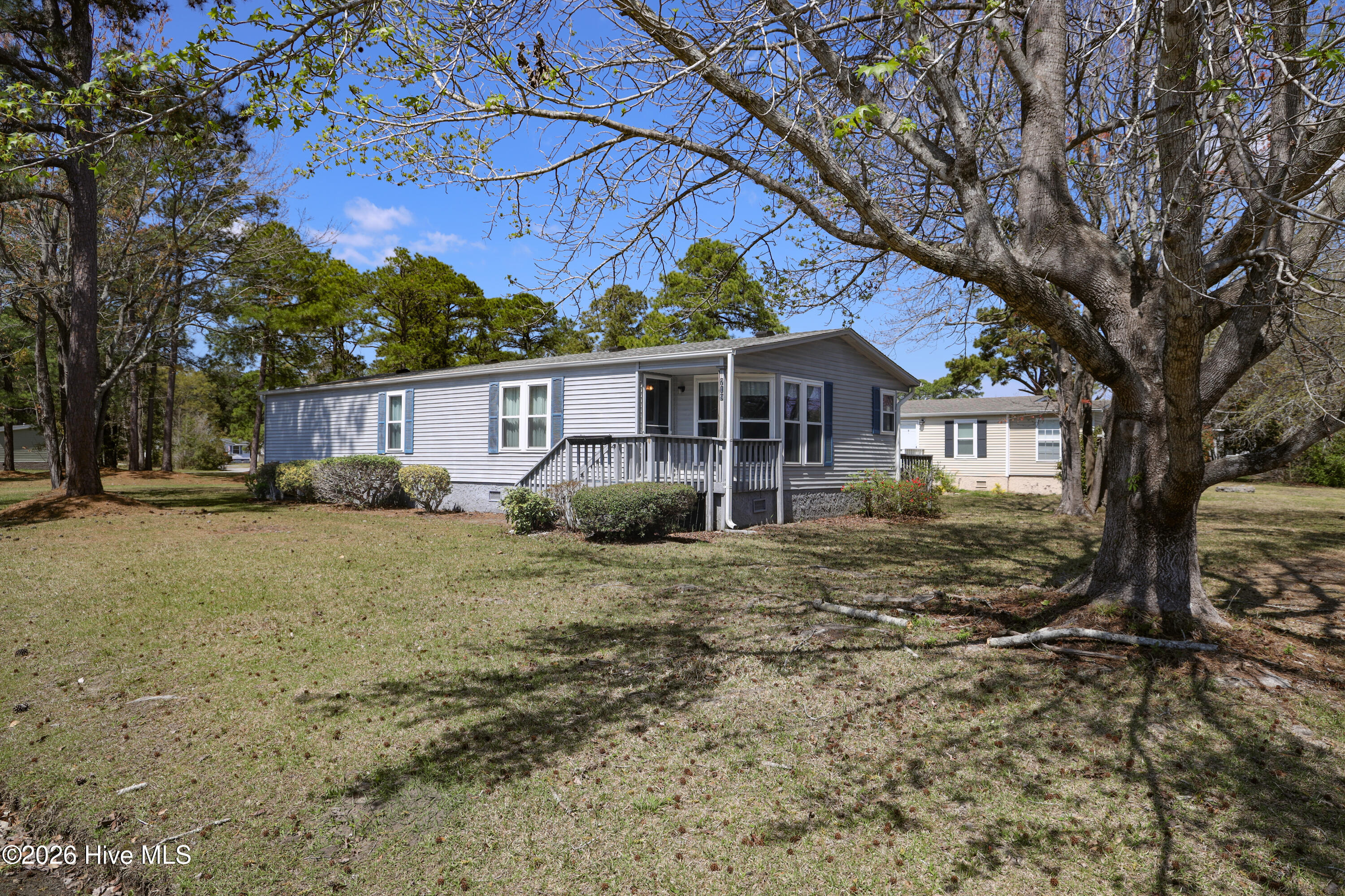 100563984 | Photo 52