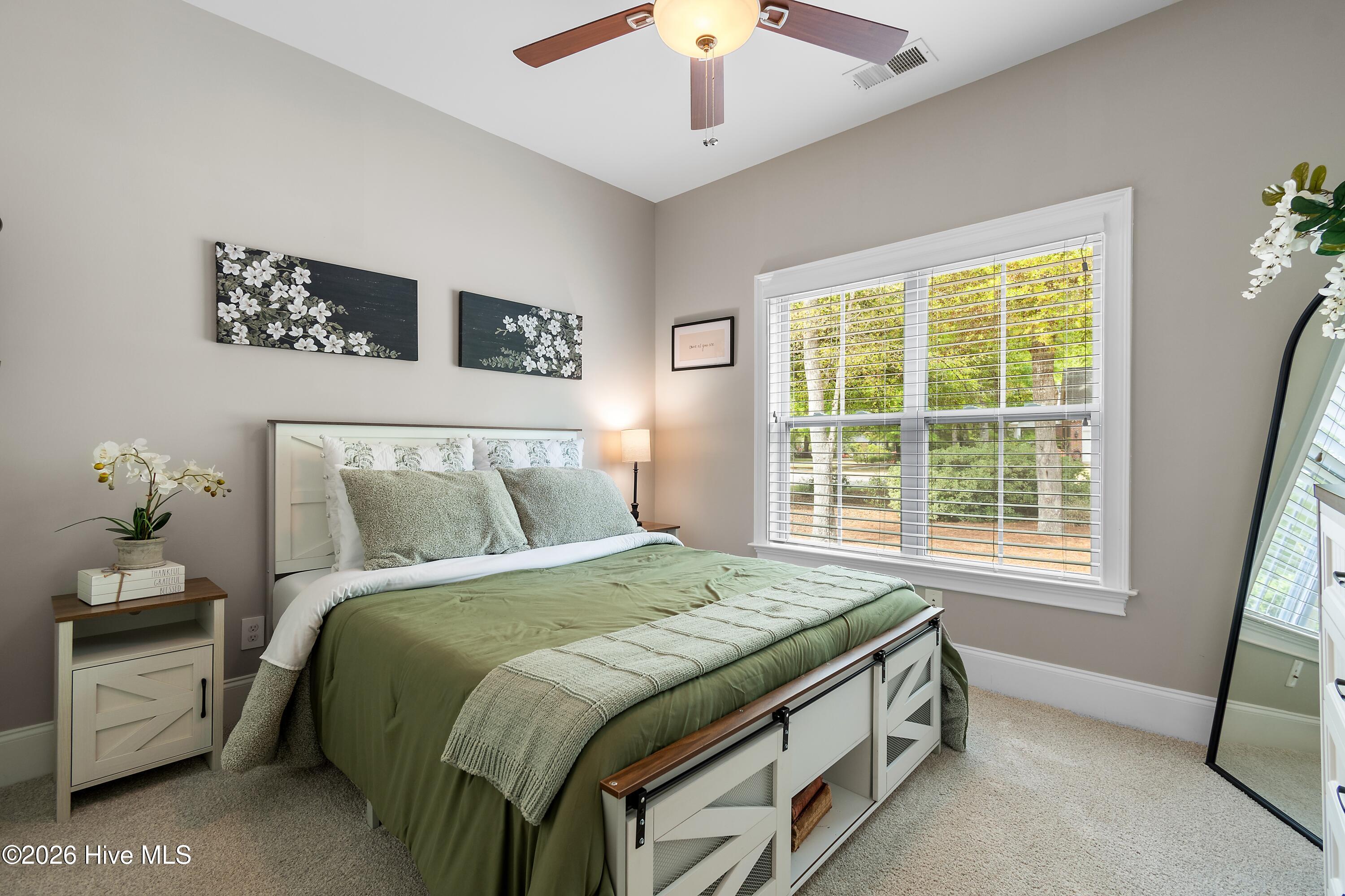 100565384 | Photo 24