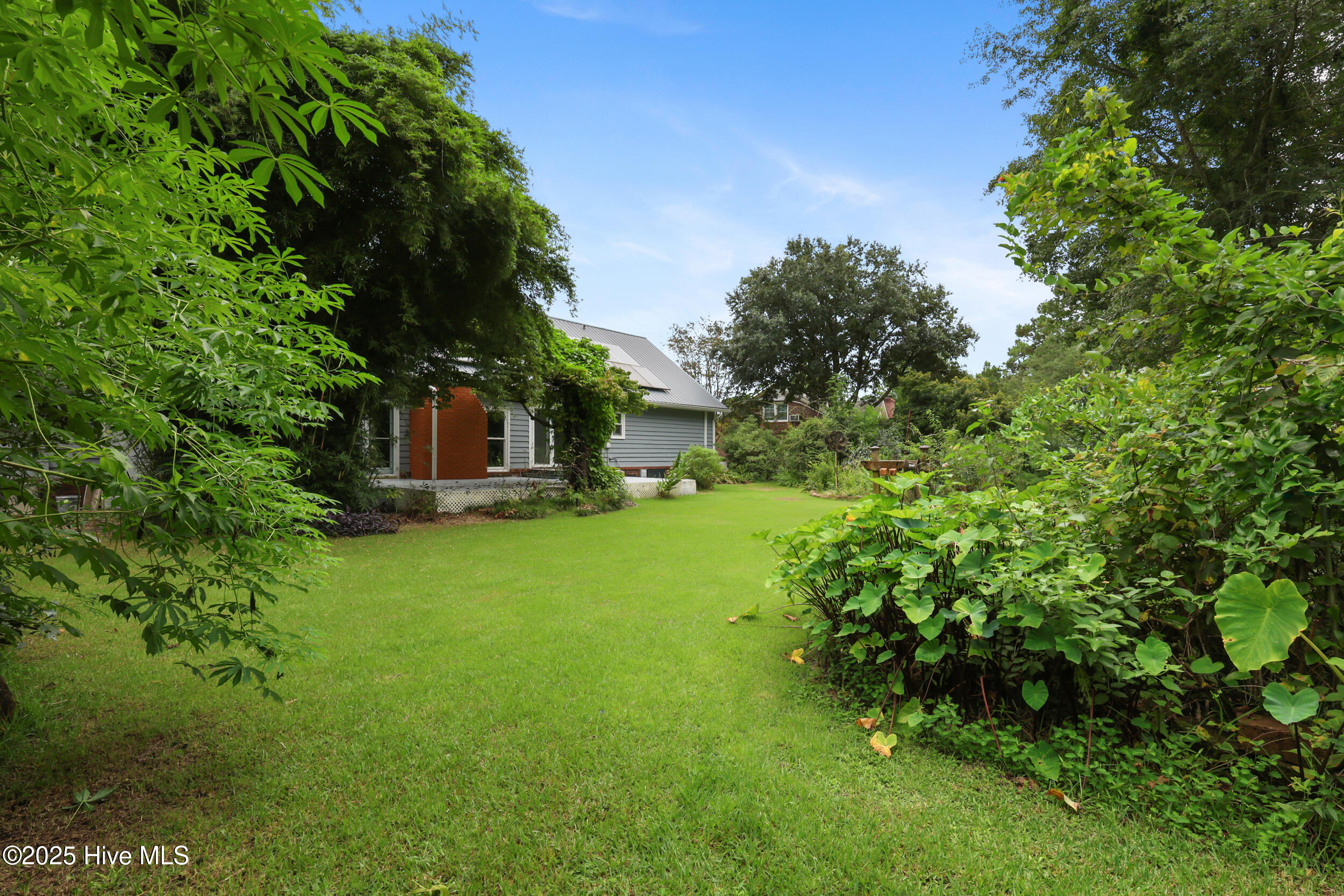 100525369 | Photo 31