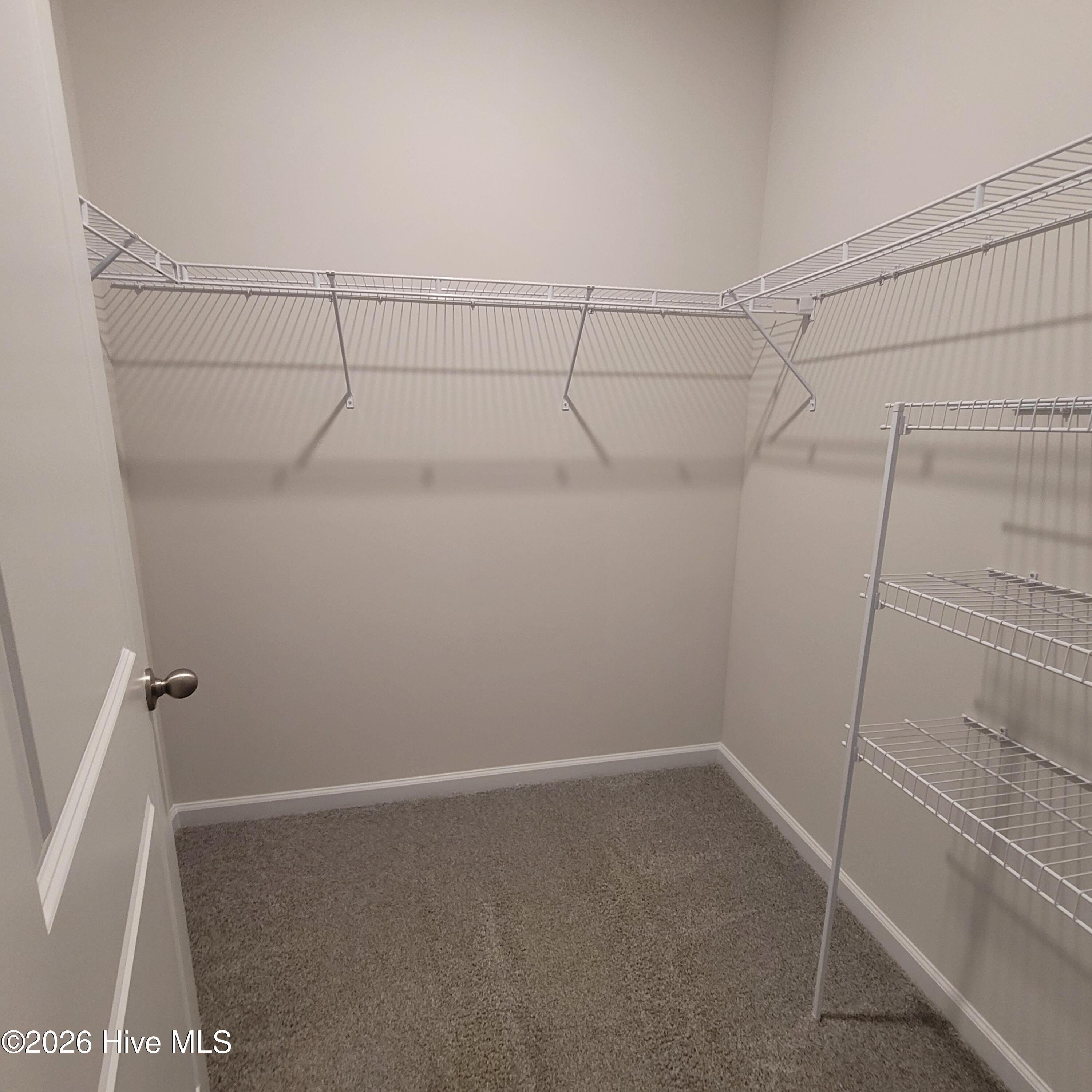 100553677 | Photo 25