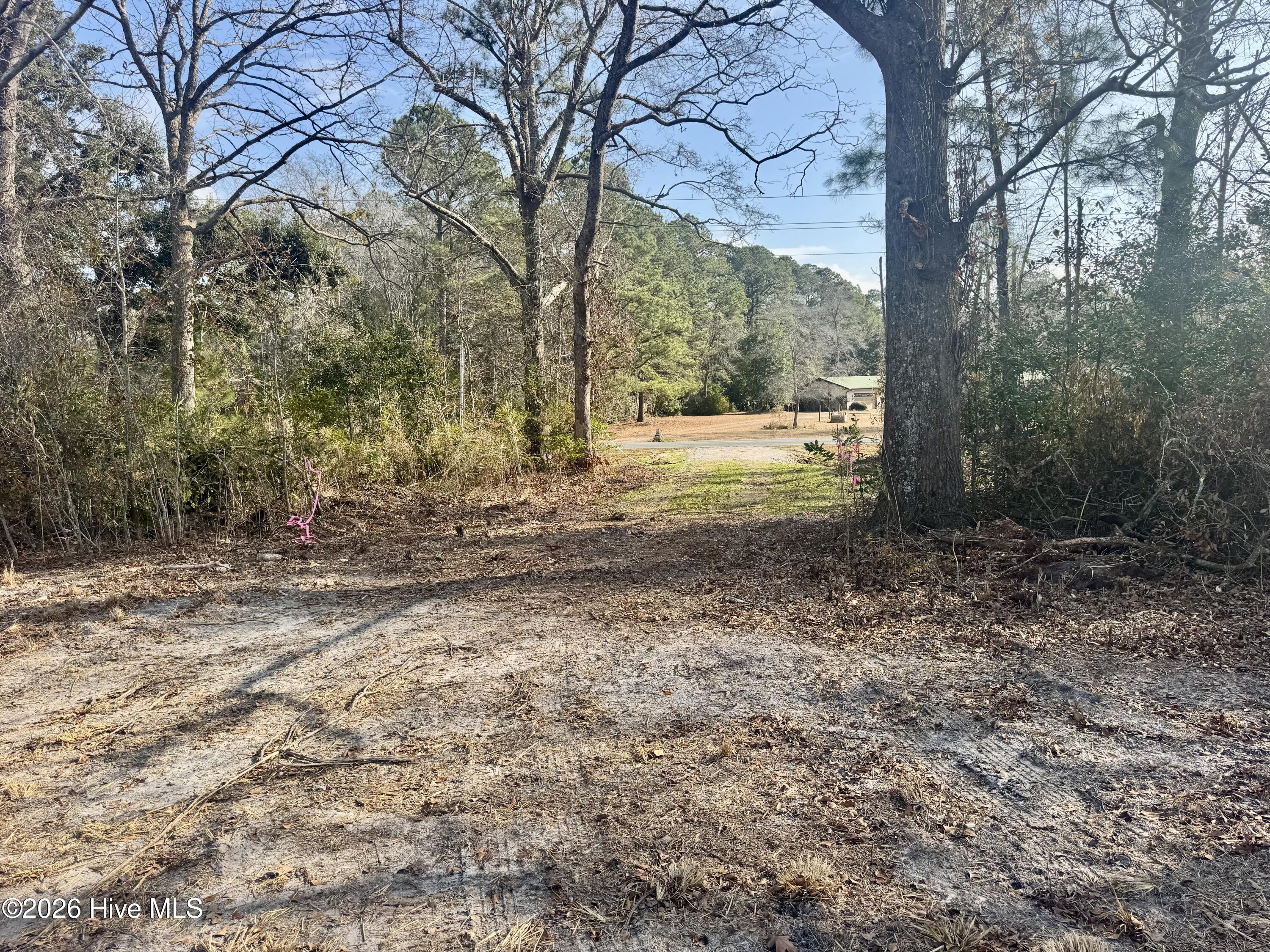 100549046 | Photo 12