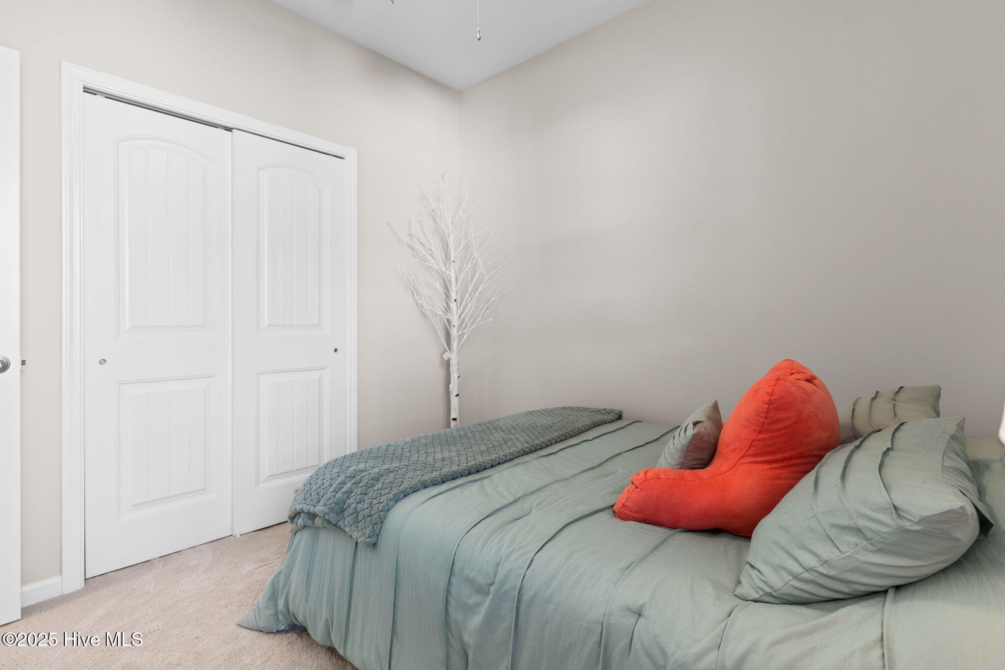 100535232 | Photo 28