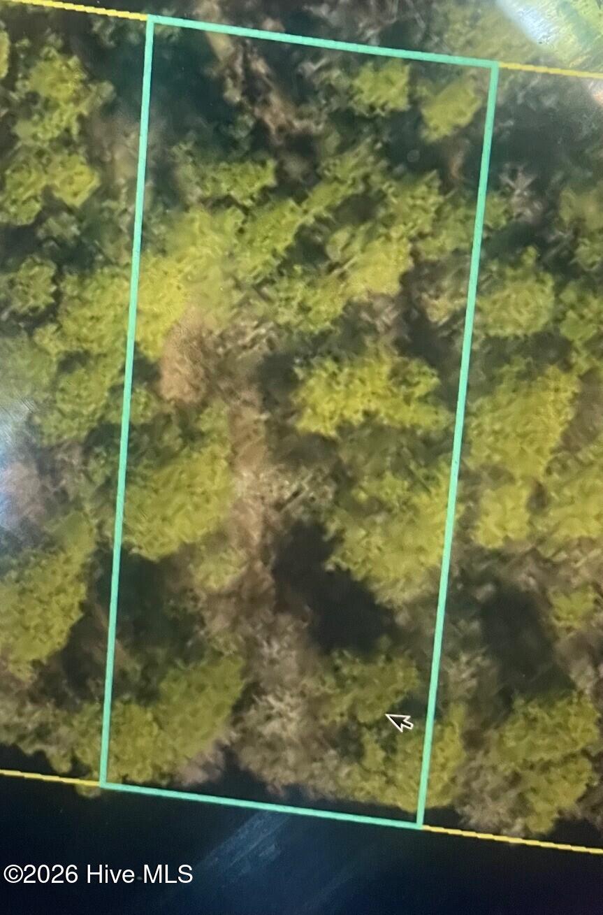 250 S Horsepen Drive, Harrells, NC, 28444