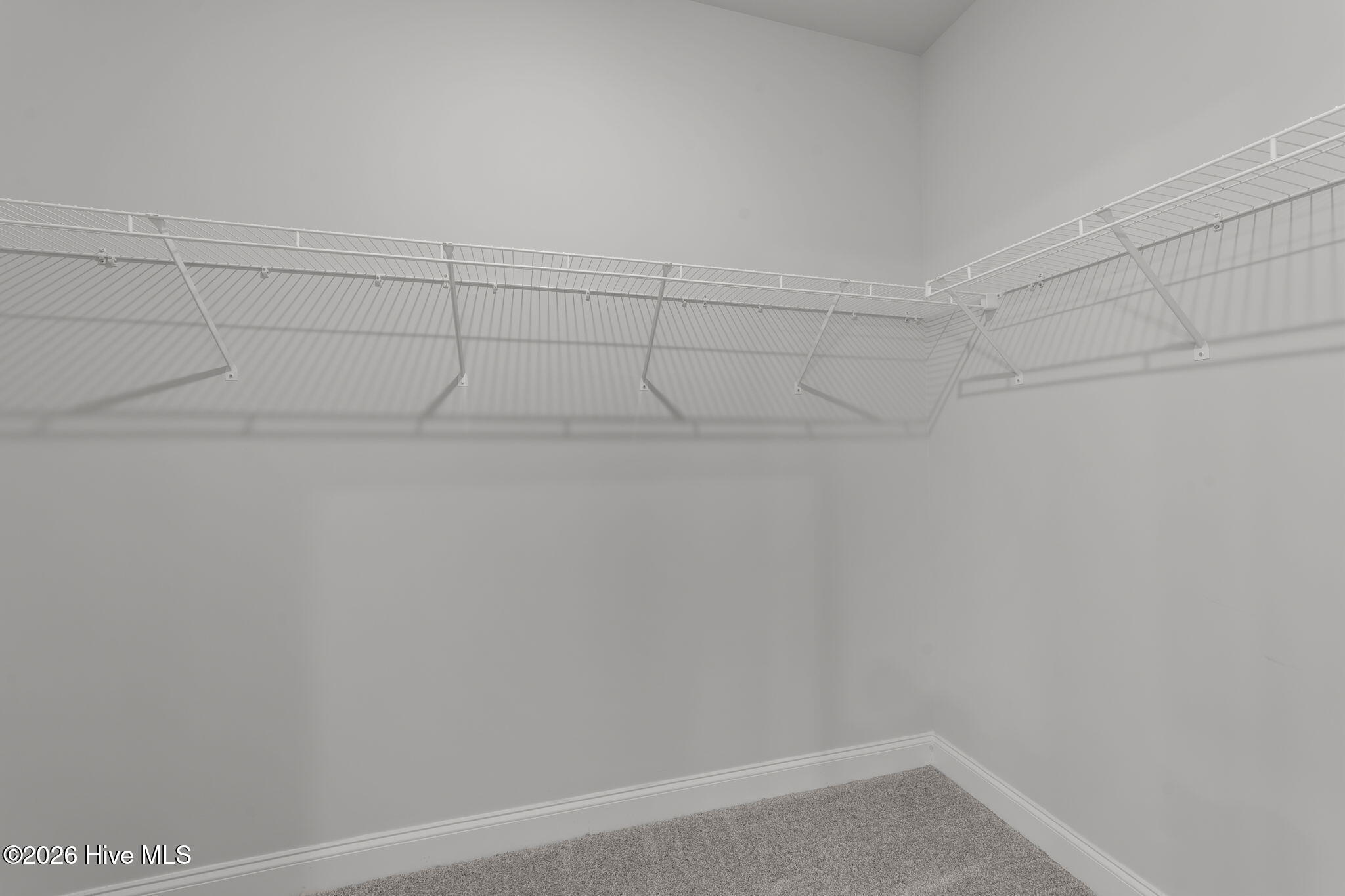 100551232 | Photo 13