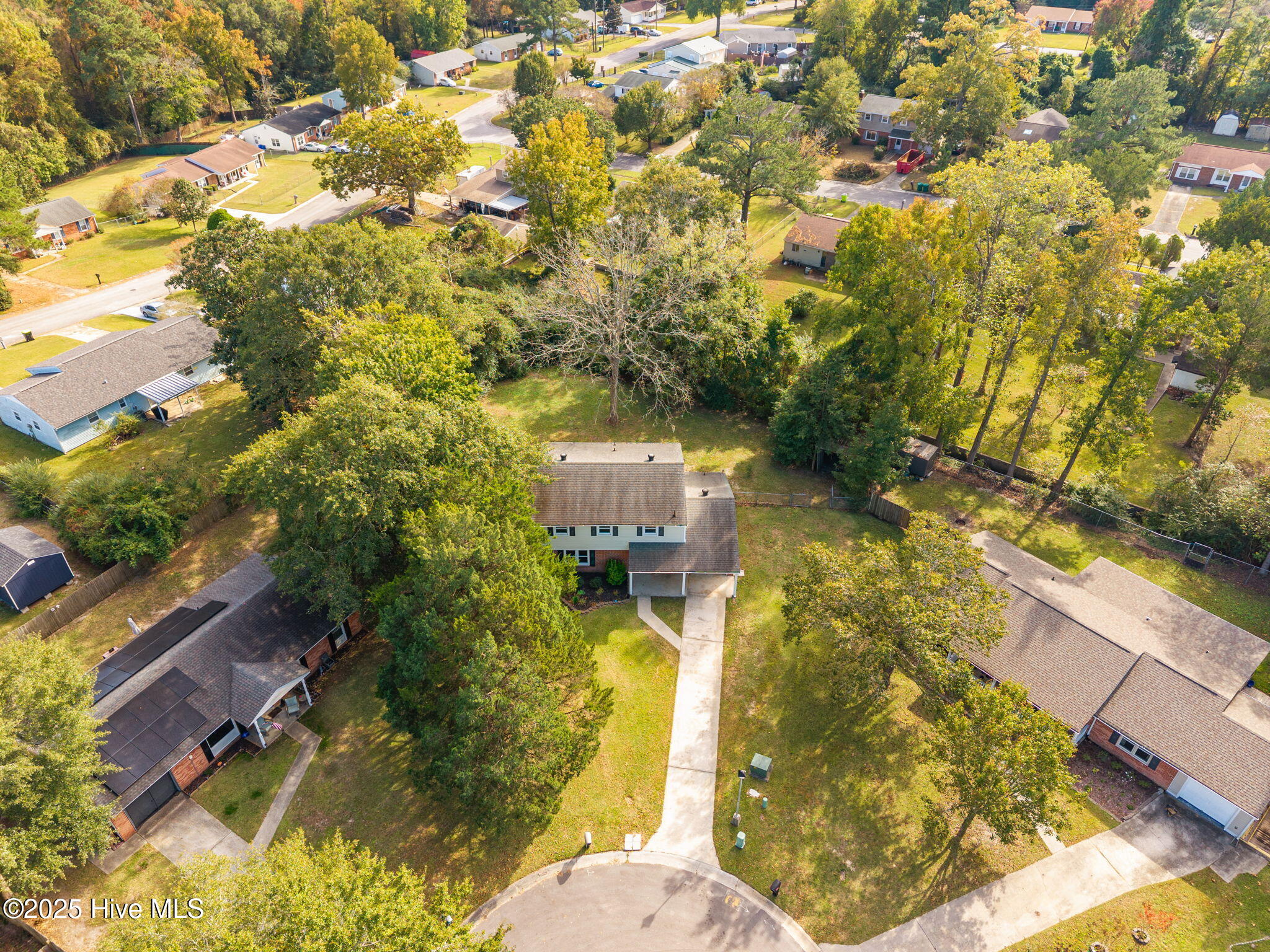 100539019 | Photo 39