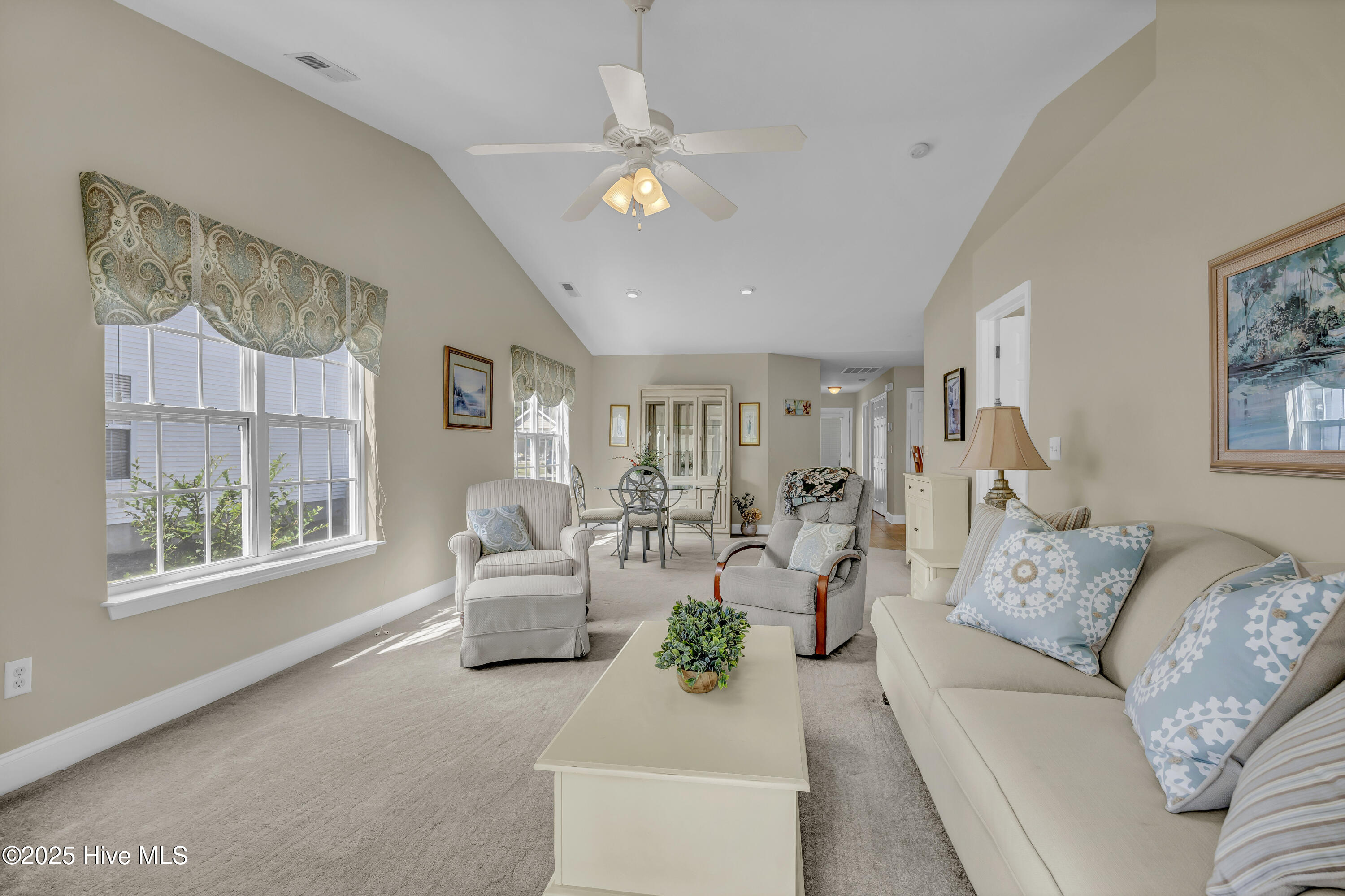 100534065 | Photo 13