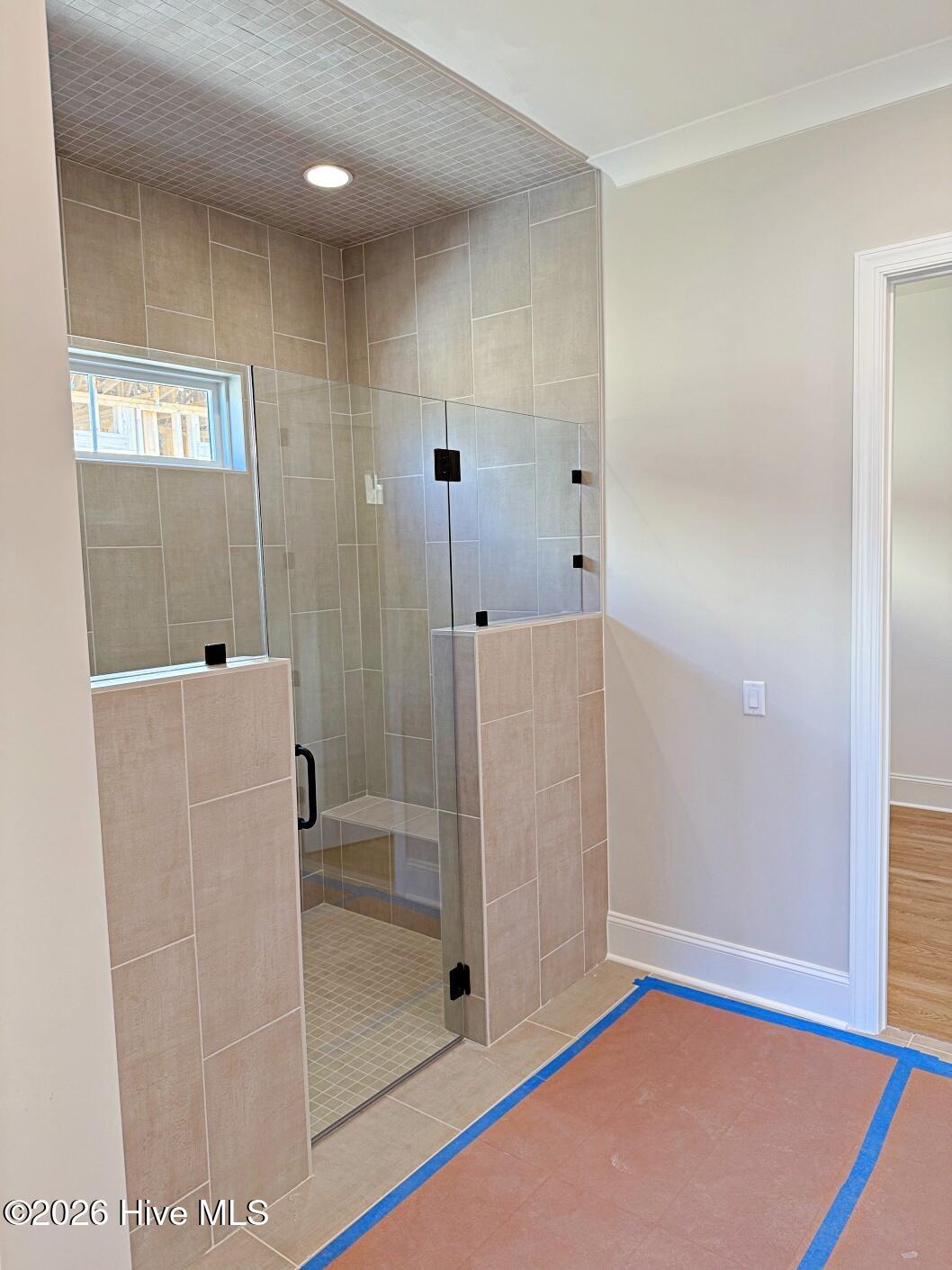 100537475 | Photo 24