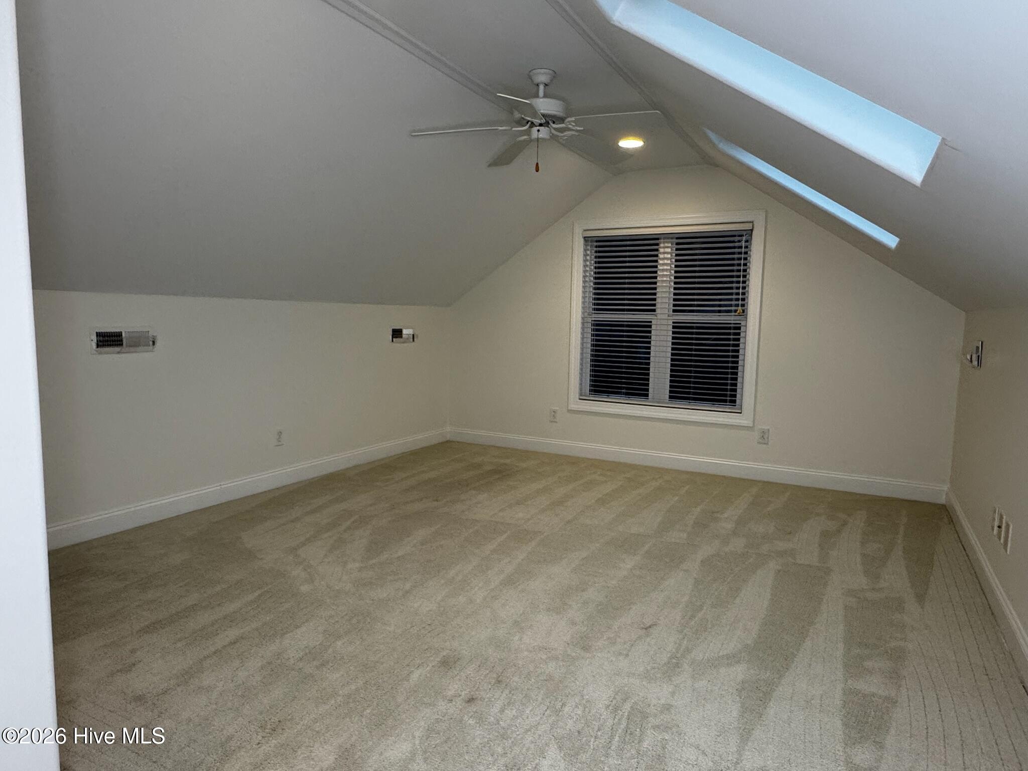 100558874 | Photo 33