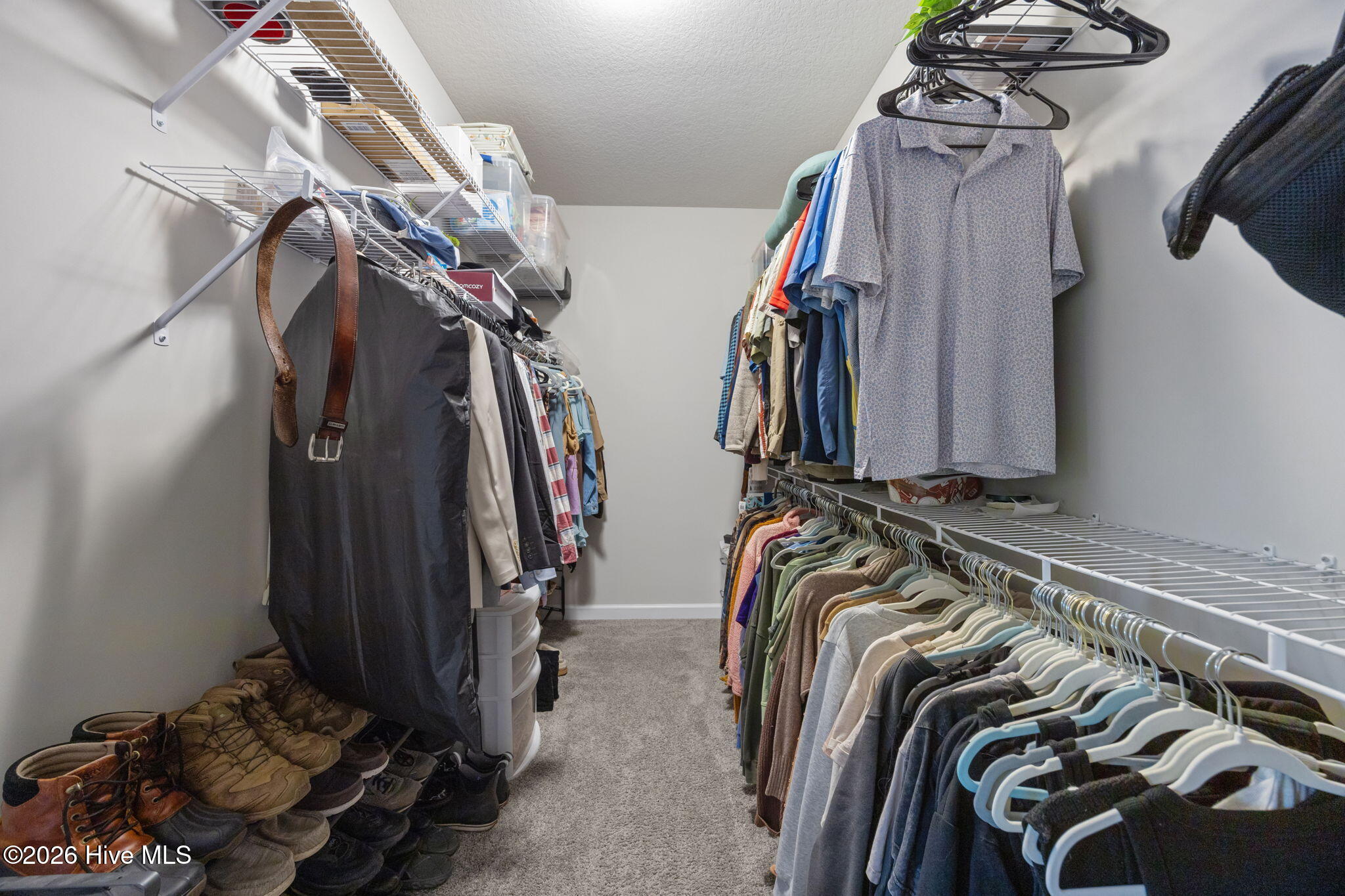 100557596 | Photo 15