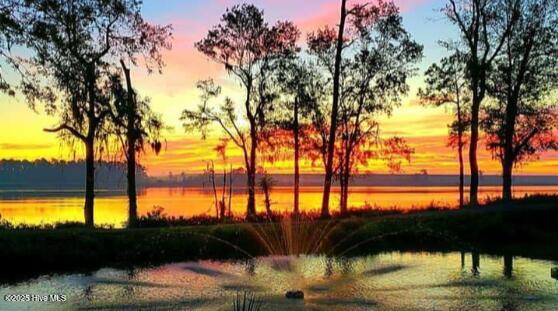 100536001 | Photo 18