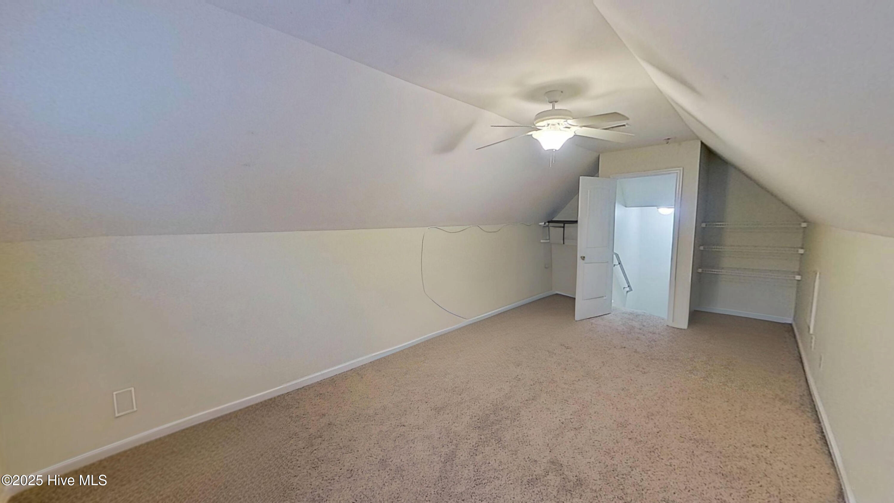 100543578 | Photo 20