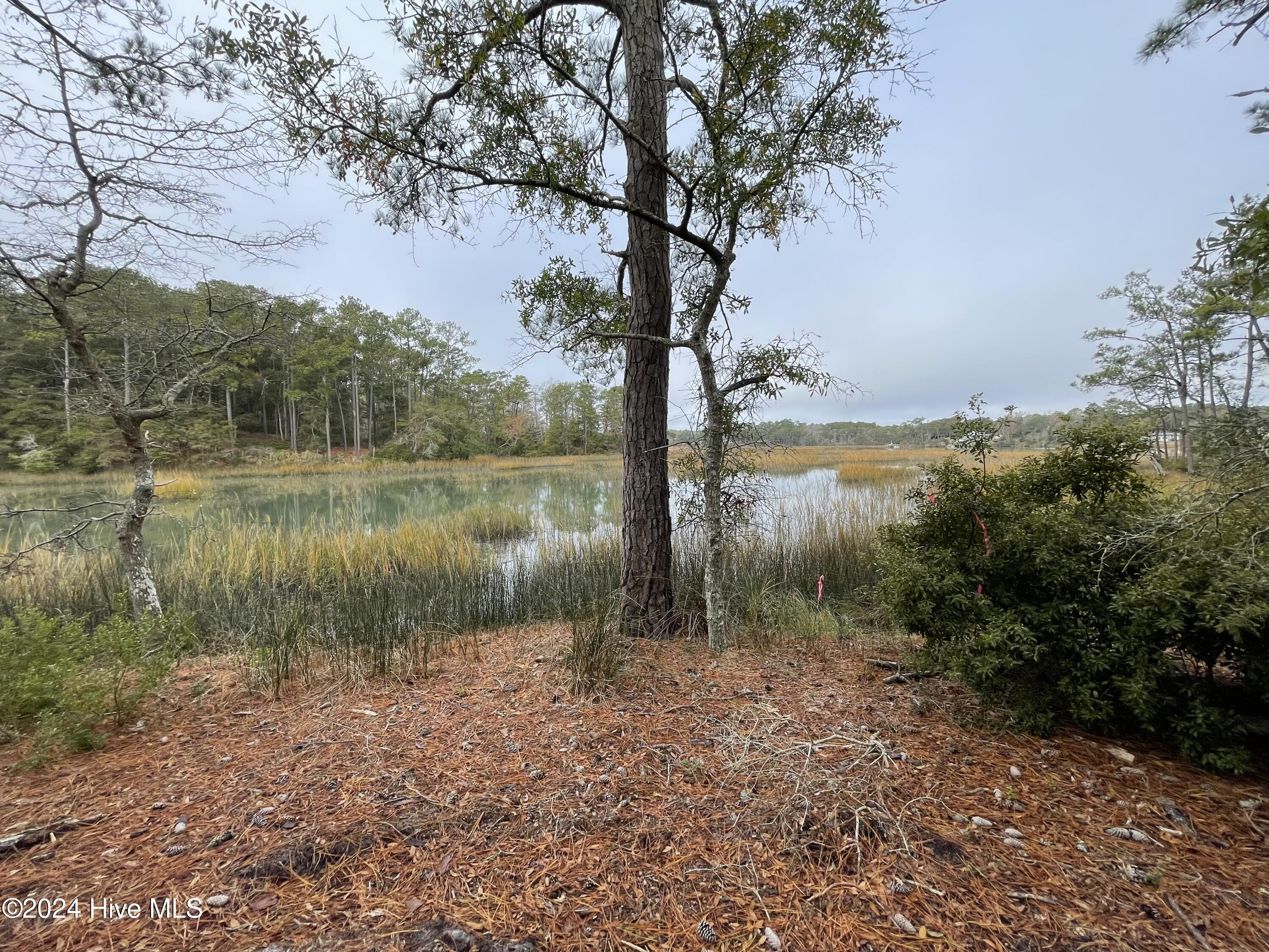 100481360 | Photo 28