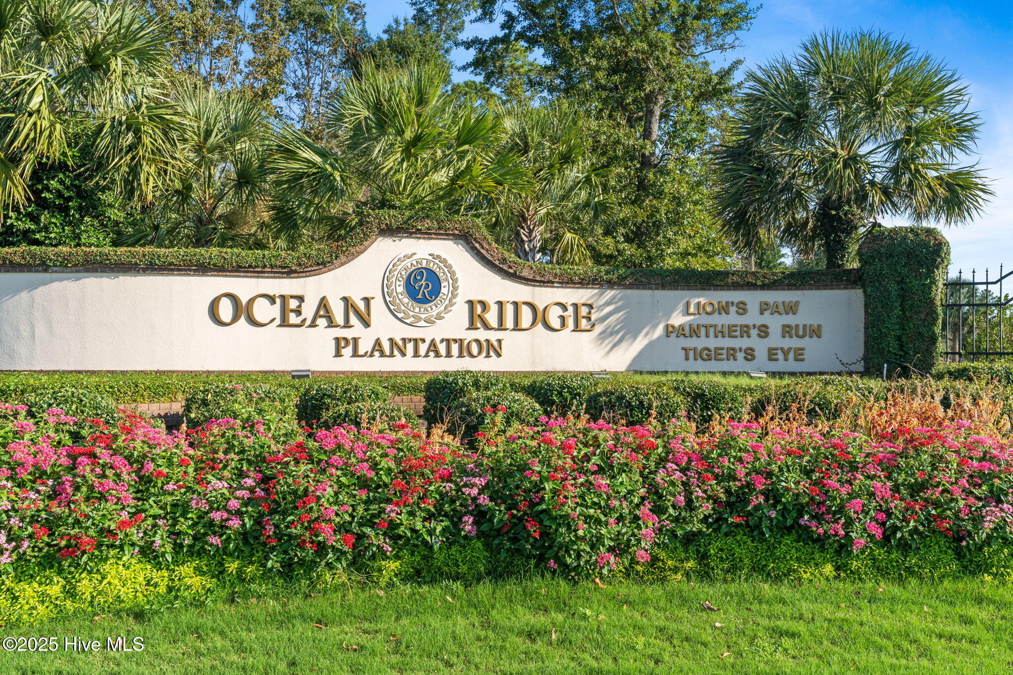 100511658 | Photo 11