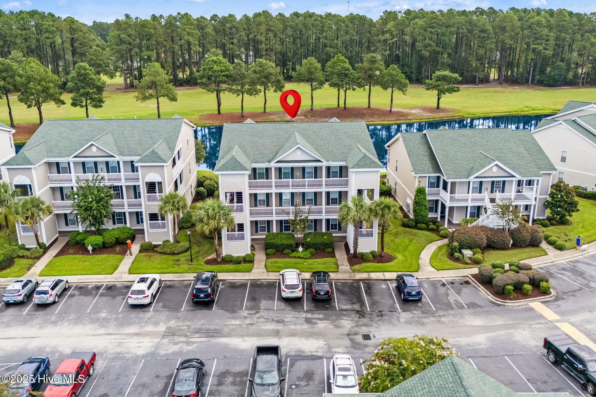 100551162 | Photo 31