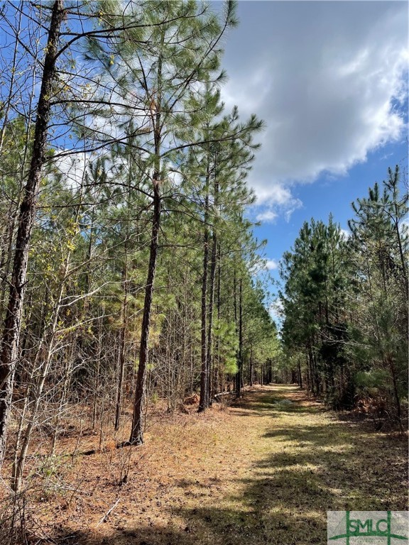 0 FISH Road, Newington, GA, 30446