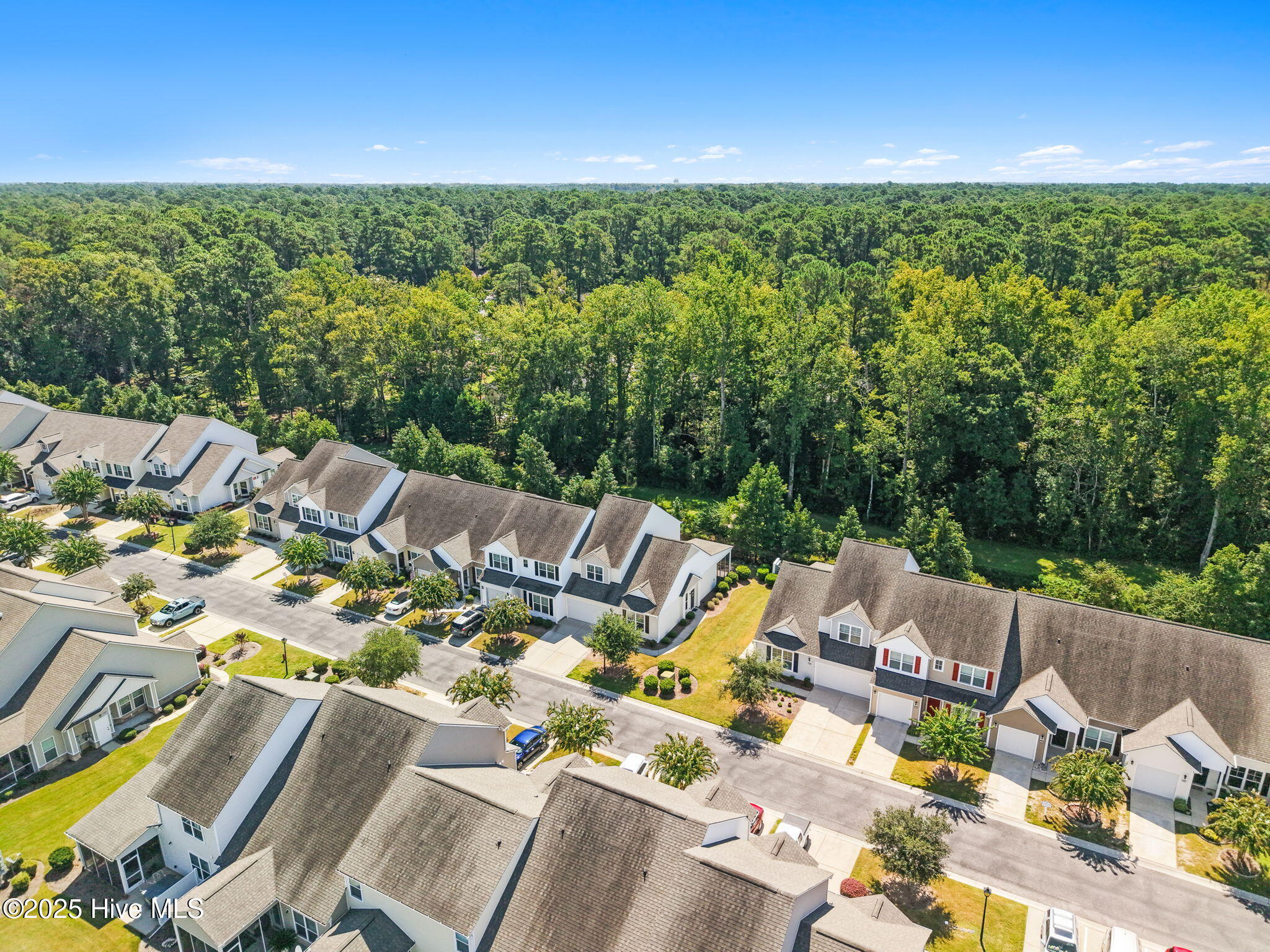 100529406 | Photo 56