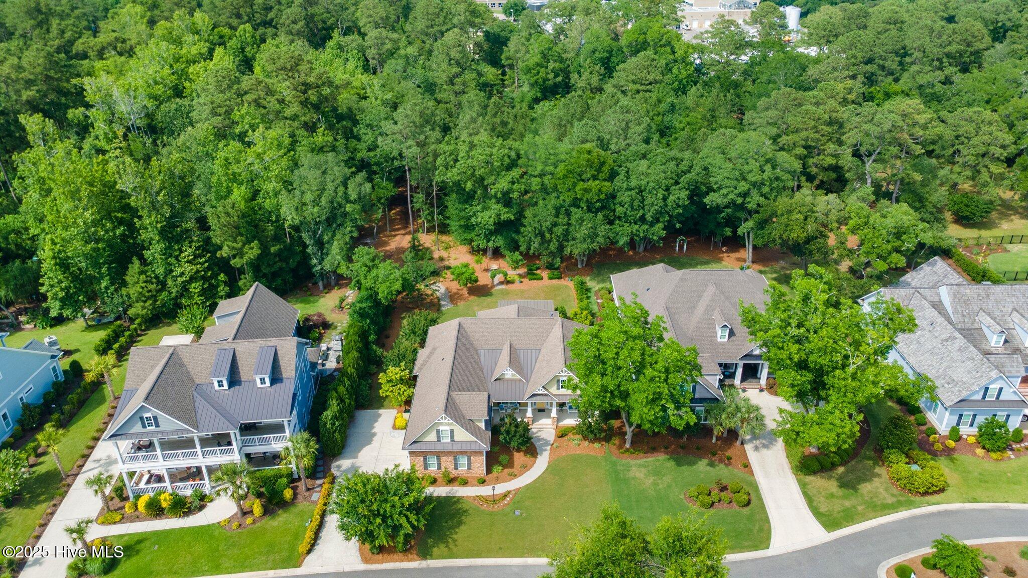 100508421 | Photo 88