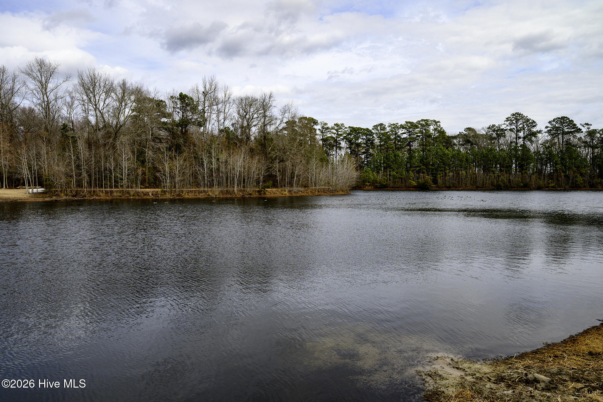 303 Ramonas Lake Court,New Bern