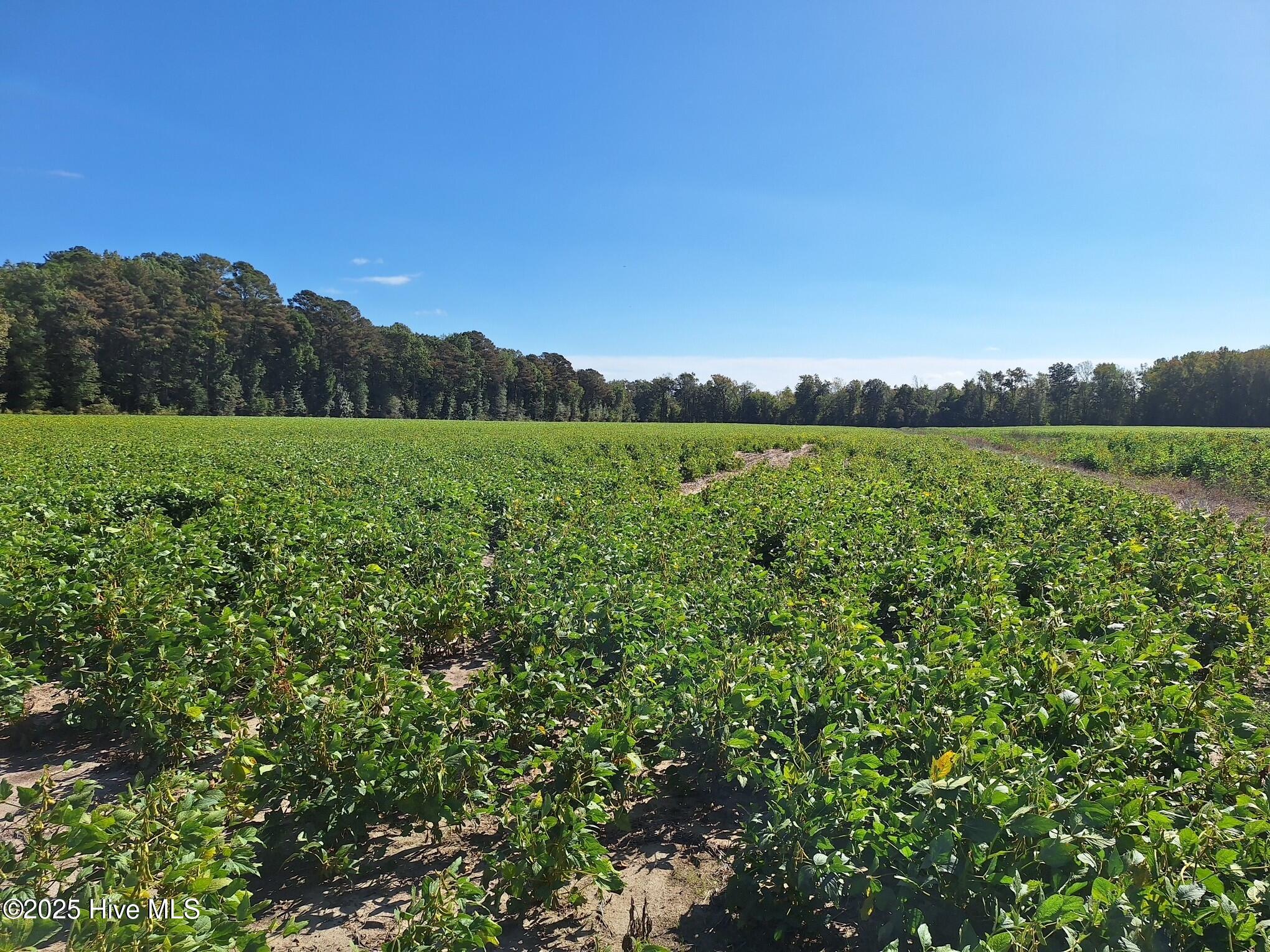 Homes for sale in Robersonville, NC | 1676 Ross Rd, Robersonville, NC 27871 | MLS# 100540564