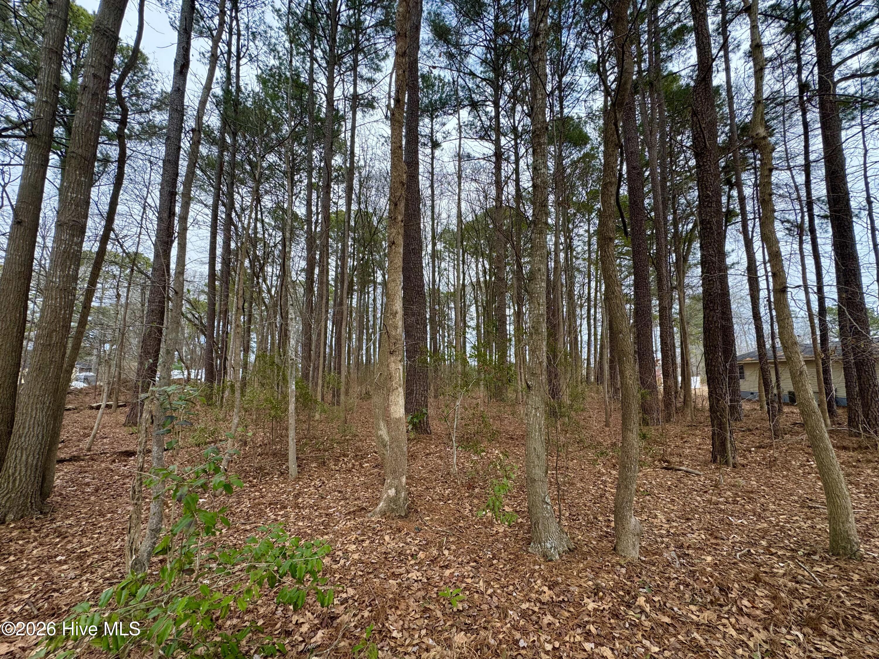 Exterior photo of 0 Lincoln Drive, Kenly, NC 27542. MLS: 100591585