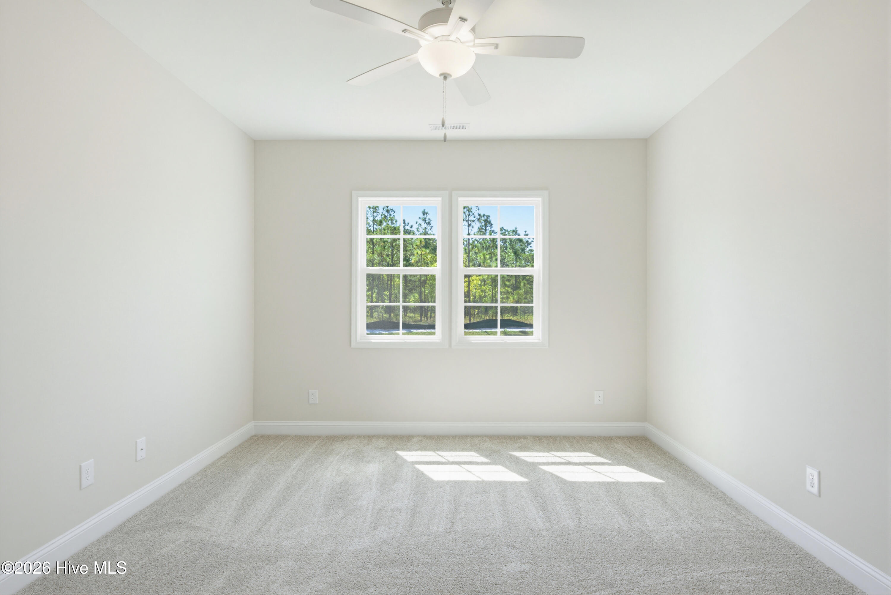 100567263 | Photo 17