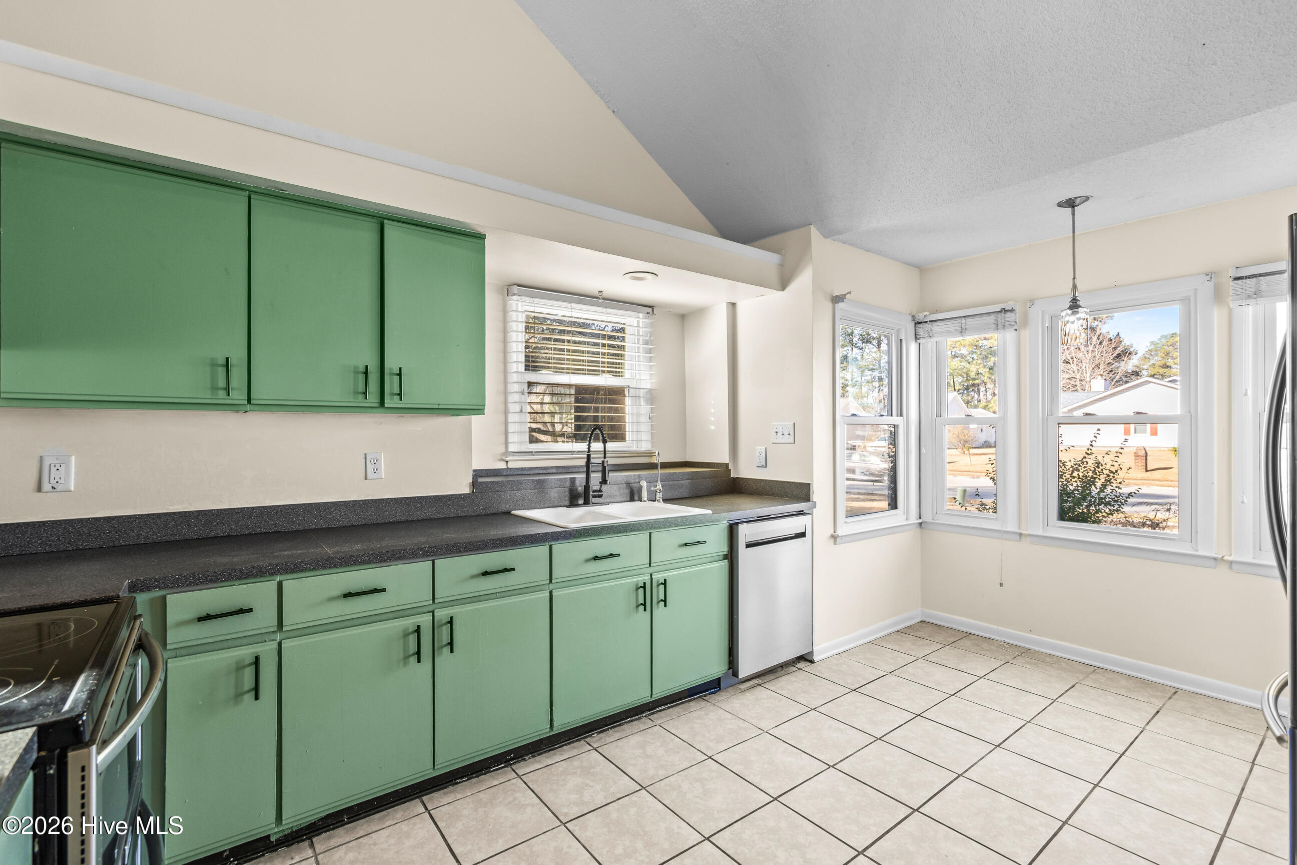 100550983 | Photo 13