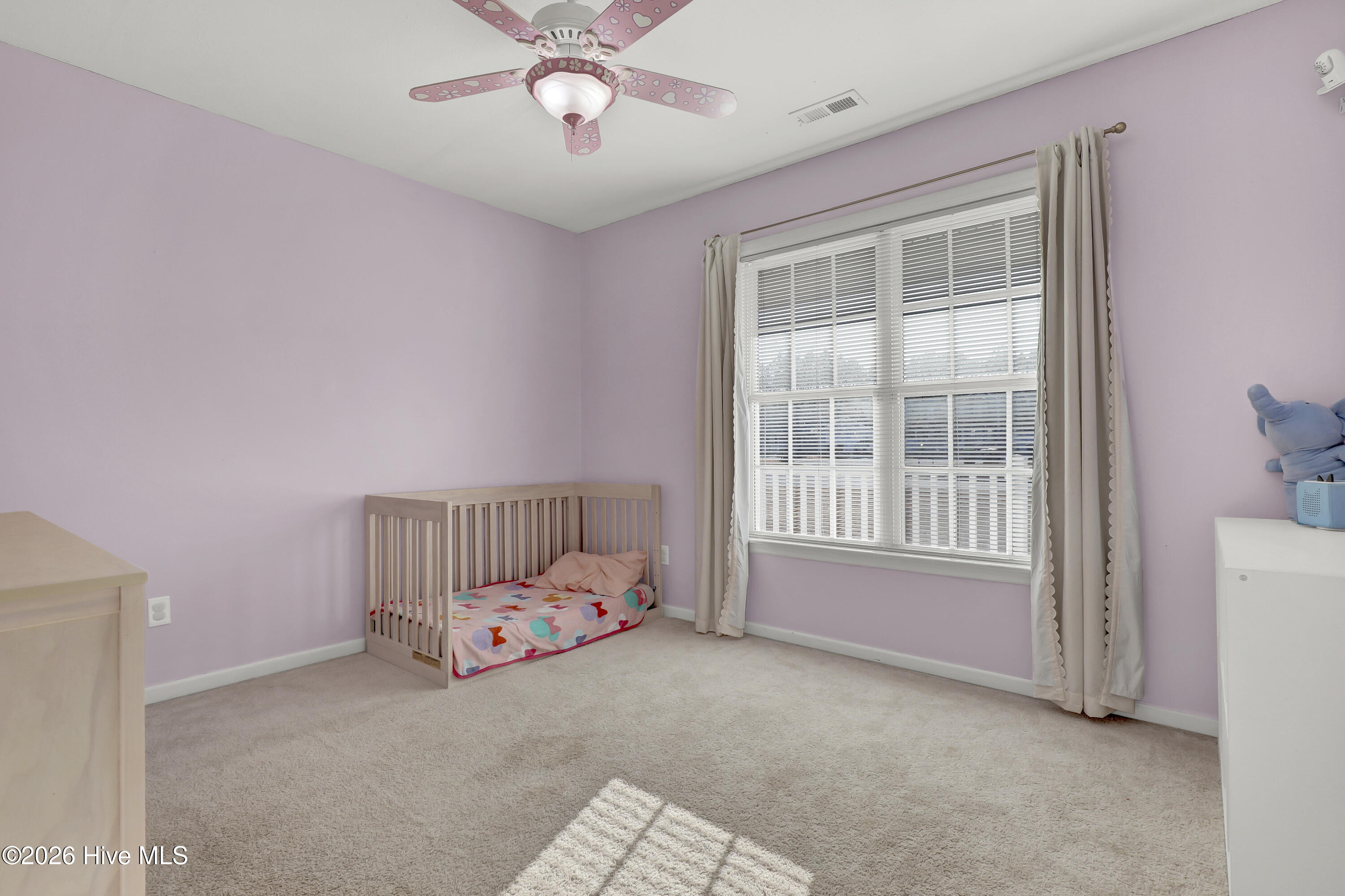 100548013 | Photo 18