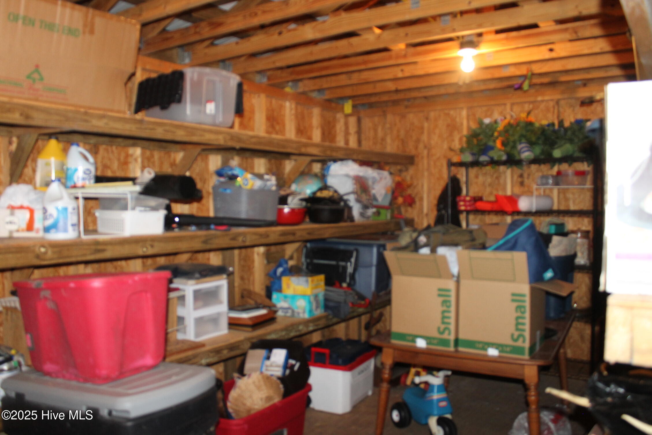 100536189 | Photo 23