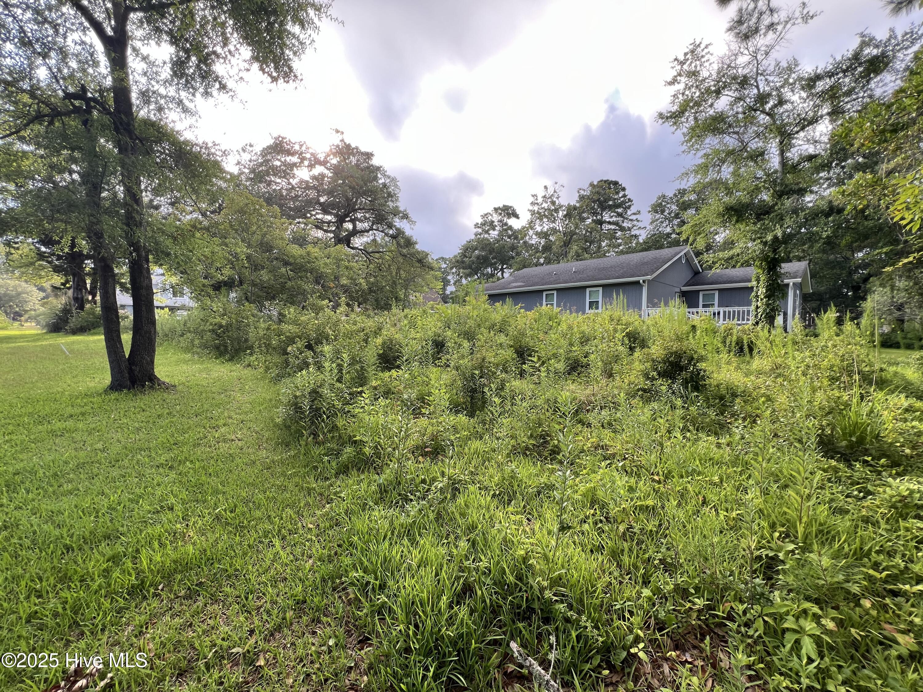 100521126 | Photo 11